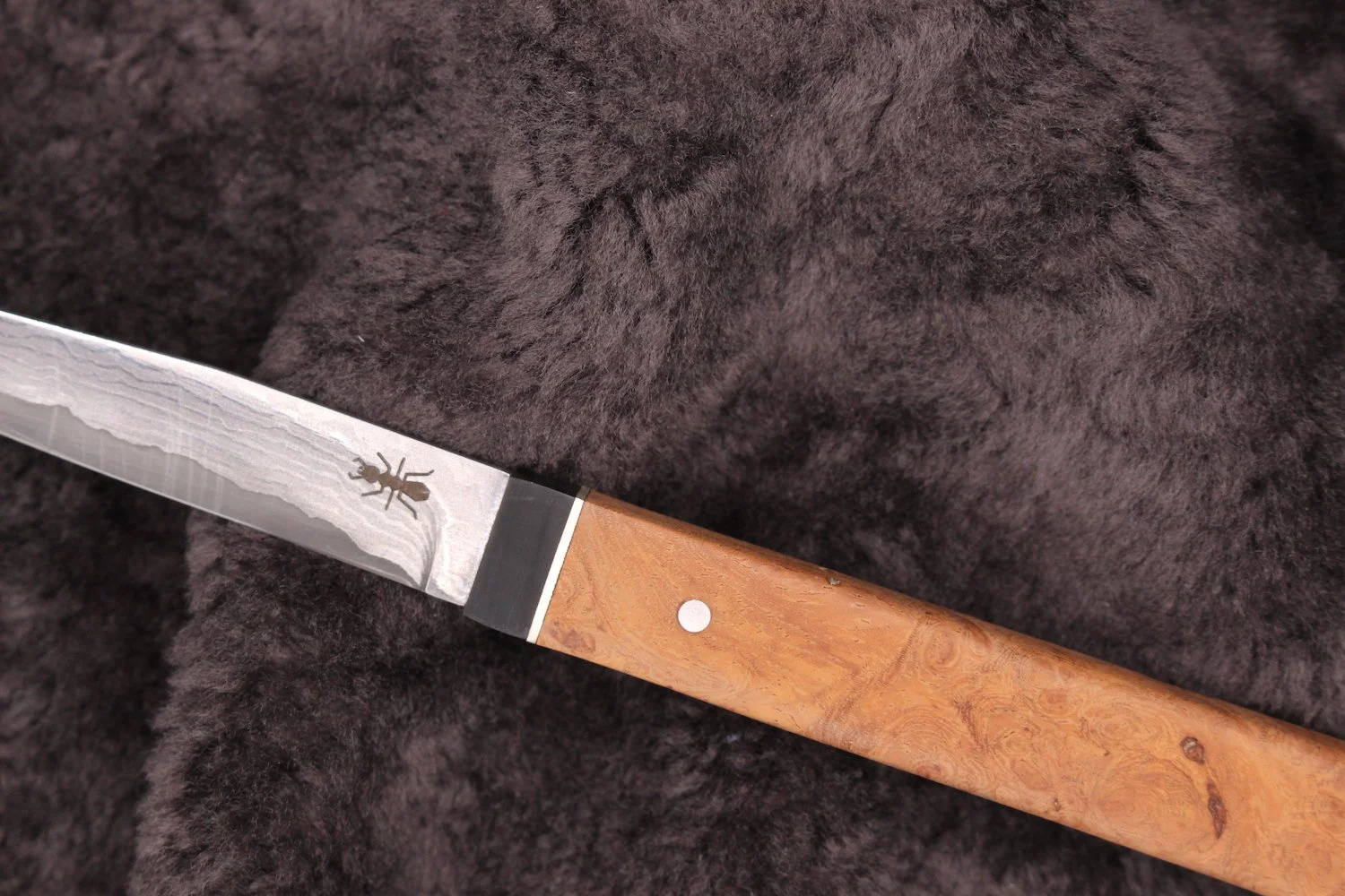 handmade knife kitchen knife plume bruyère pola malandain2.JPG