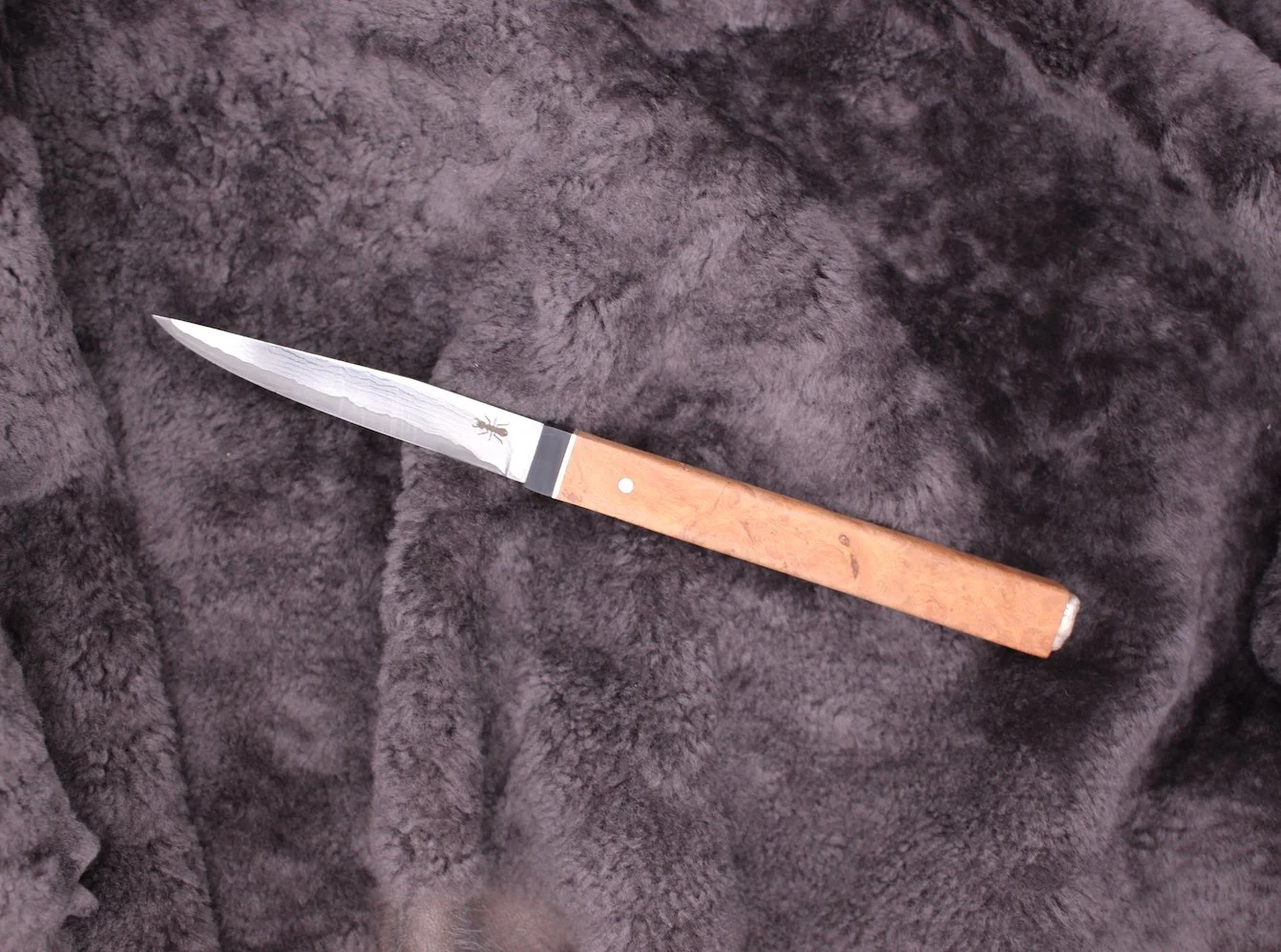 handmade knife kitchen knife plume bruyère pola malandain1.JPG