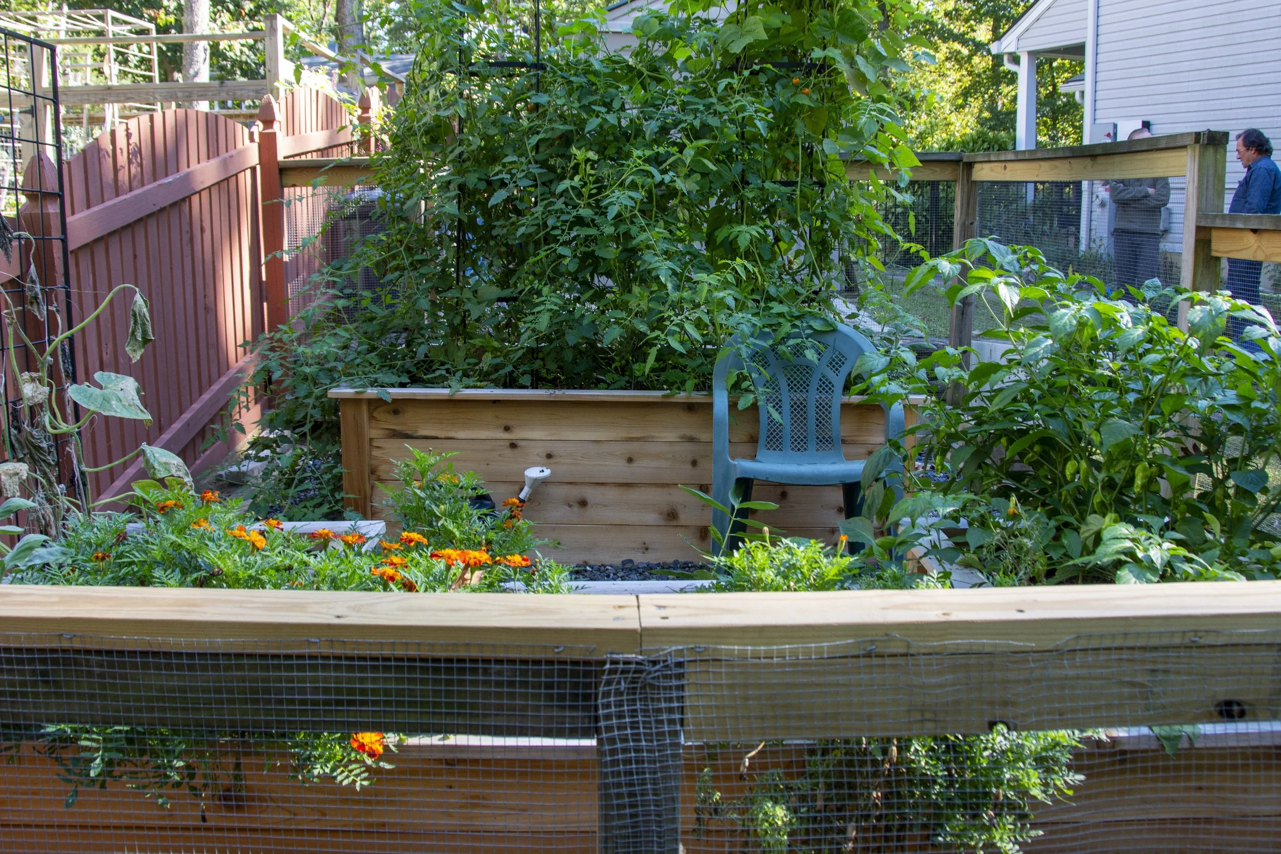 VictoryGarden-6258.jpg