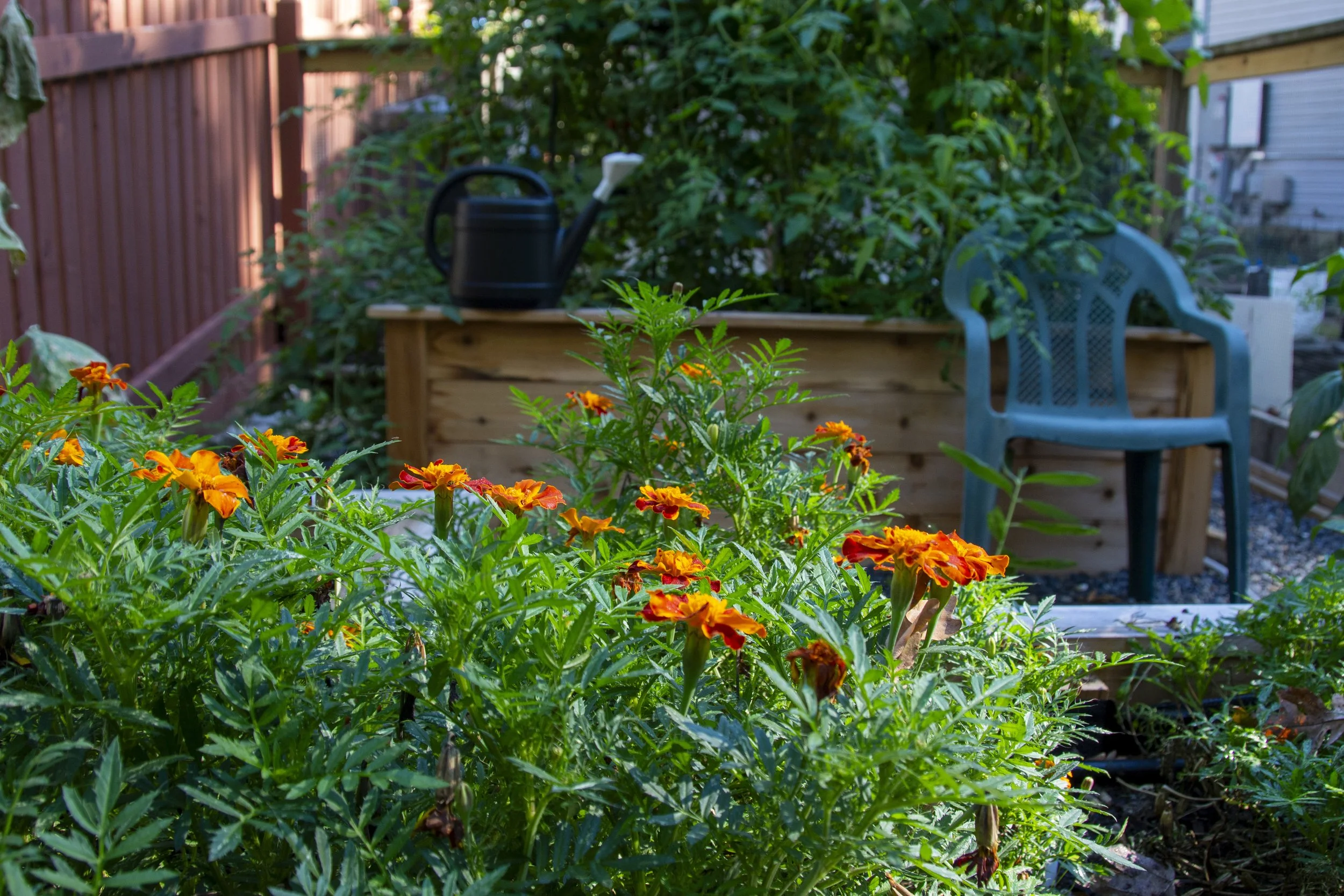 VictoryGarden-6264.jpg