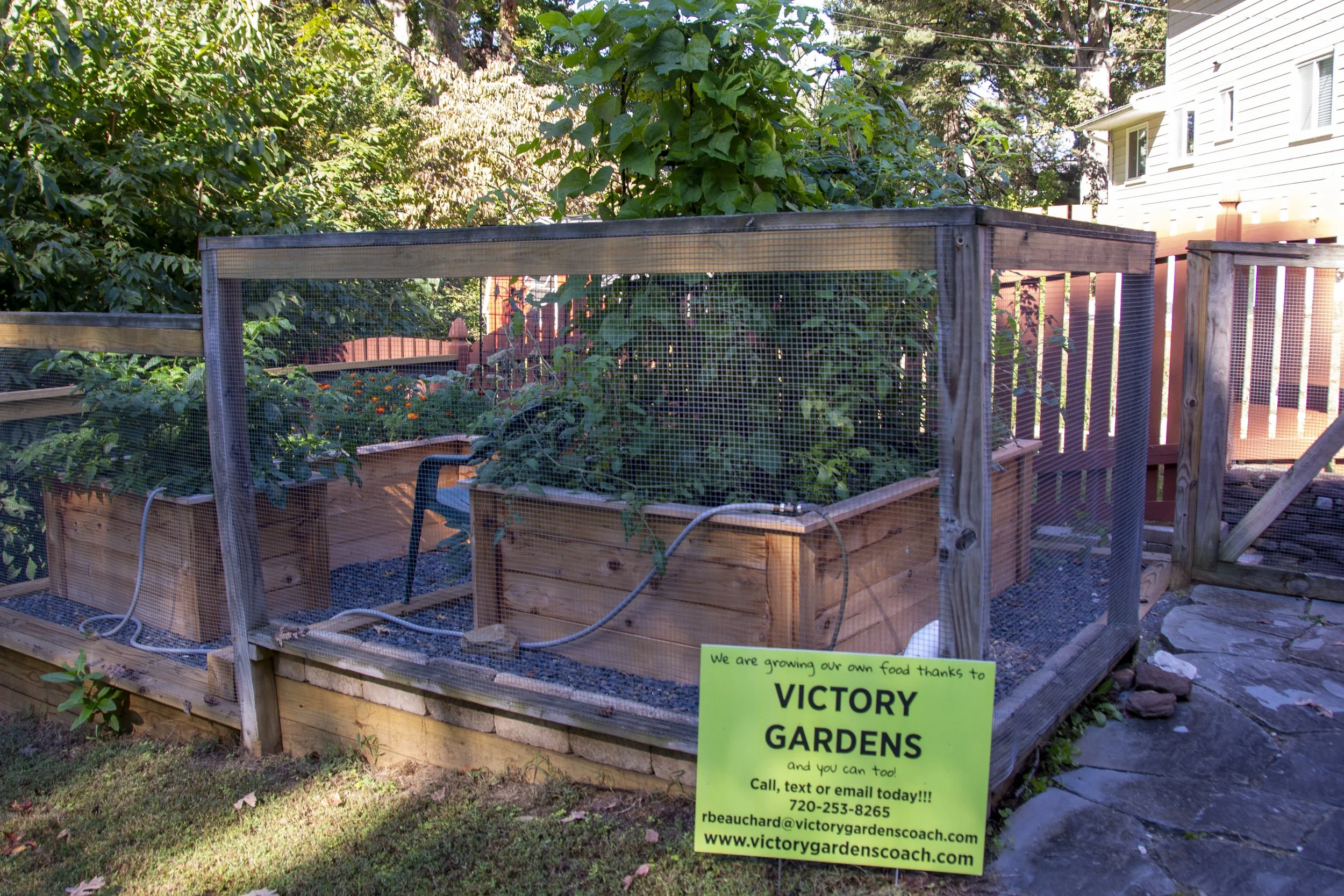 VictoryGarden-6282.jpg