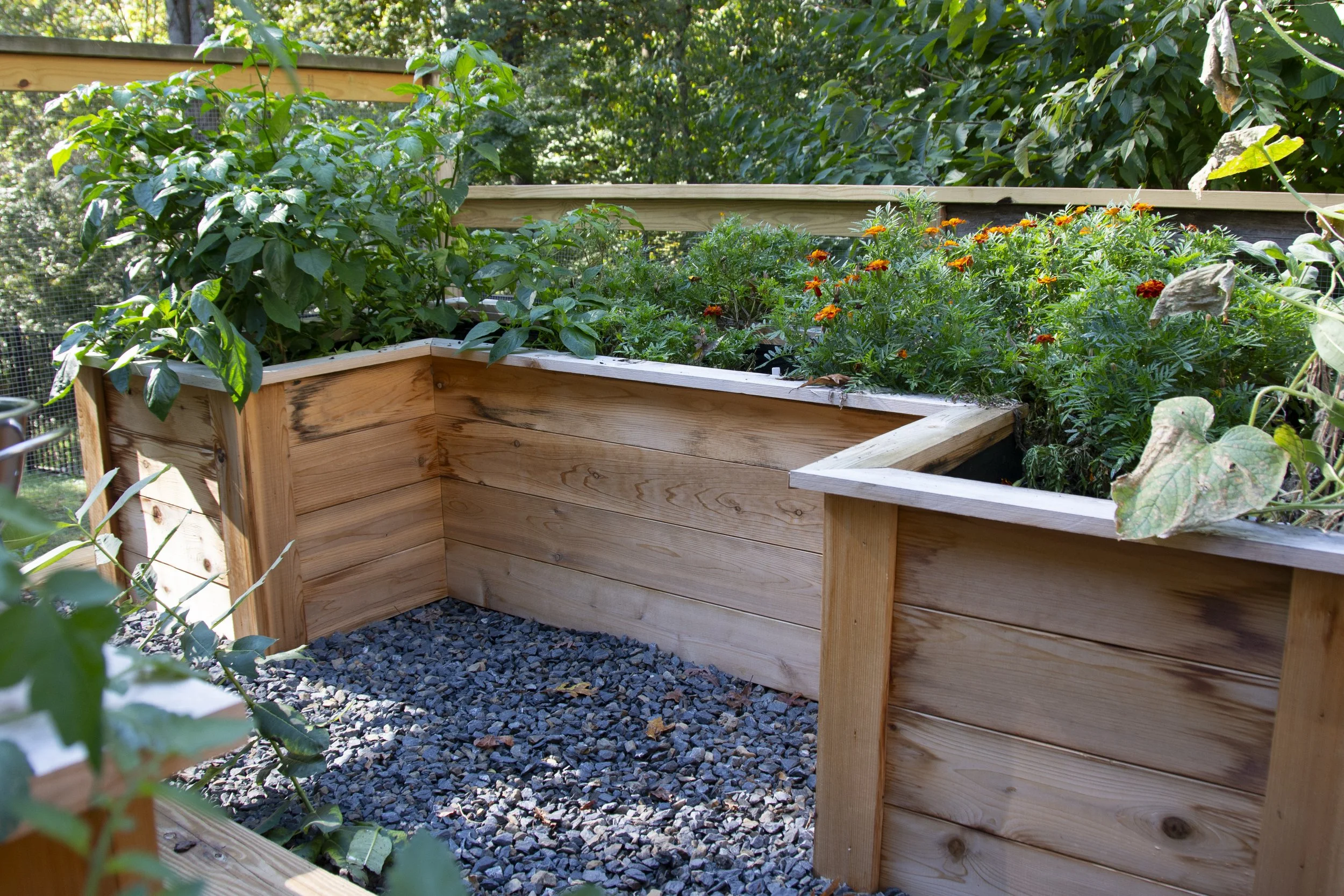 VictoryGarden-6312.jpg