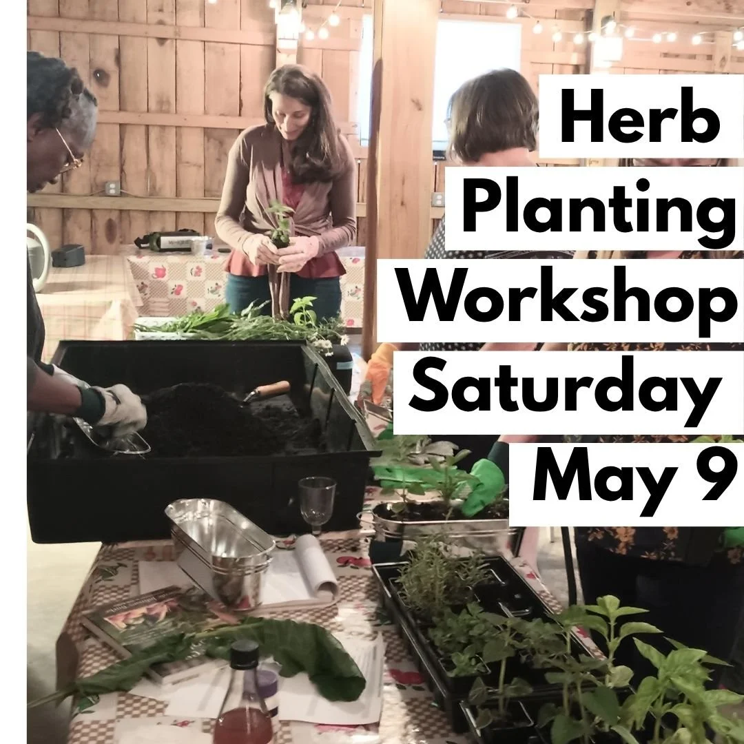 Mothers’ Day Herb Workshop