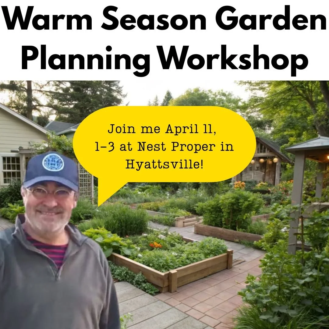 Victory Gardens IG Series RECENT(19).jpg