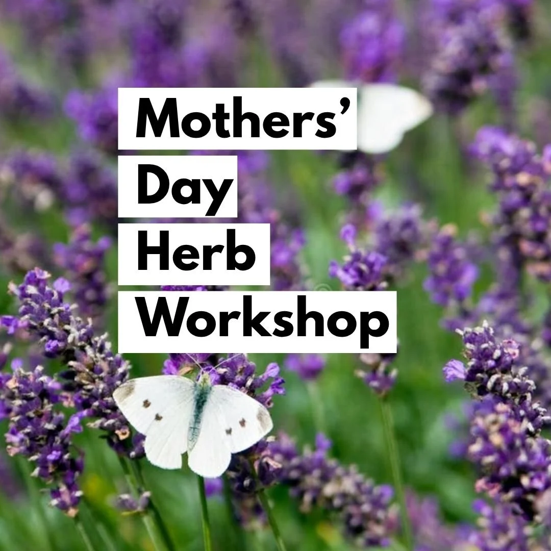 Victory Gardens IG Series RECENT(34).jpg