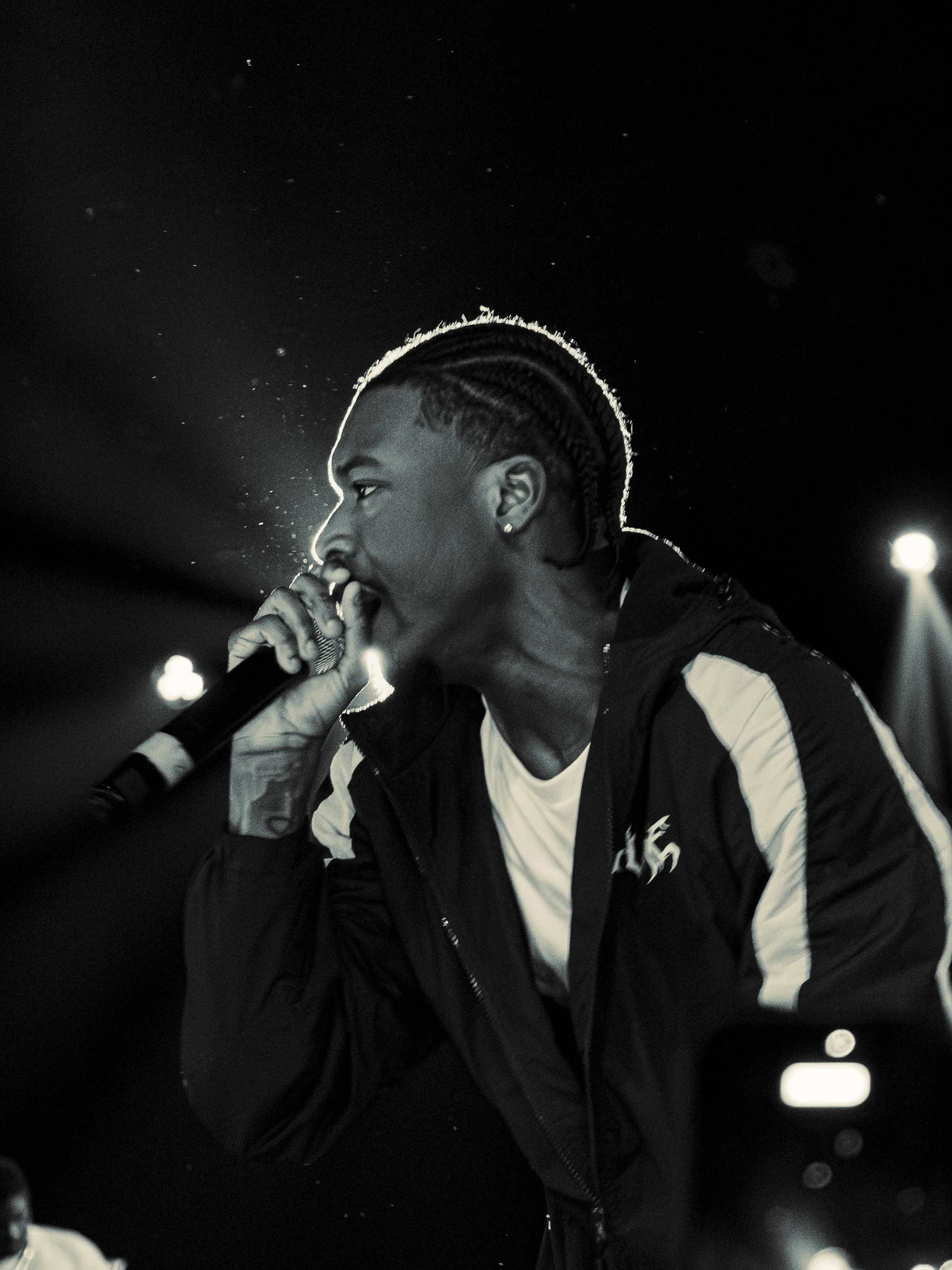 zeddy-2.jpg