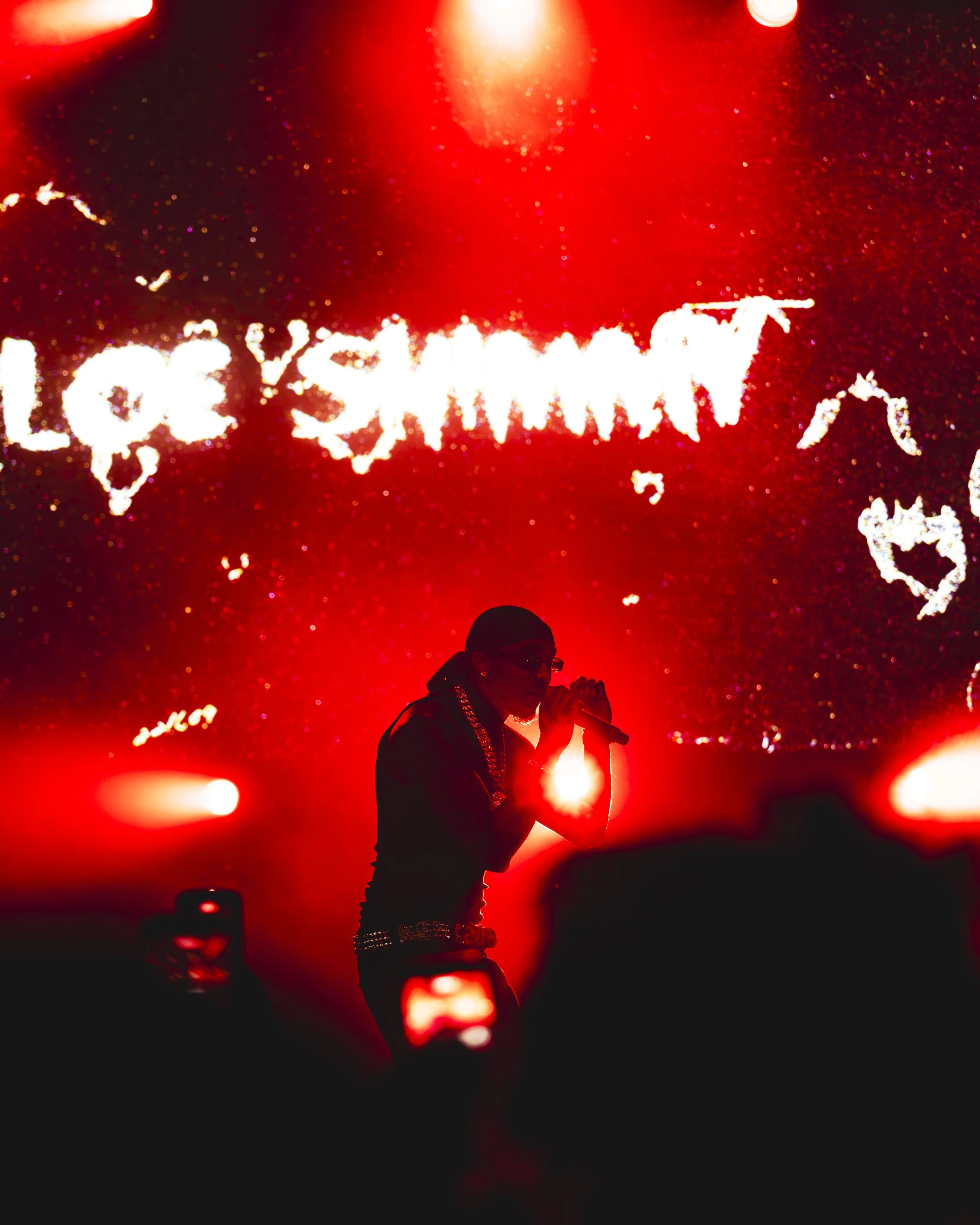LoeShimmy-10.jpg