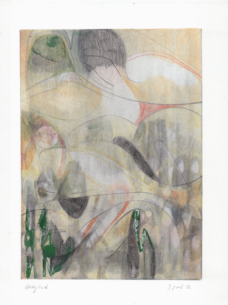 Lady Bird,
11 x 8 1/2 inches,
Acrylic, Graphite, Pencil on Paper,
2022