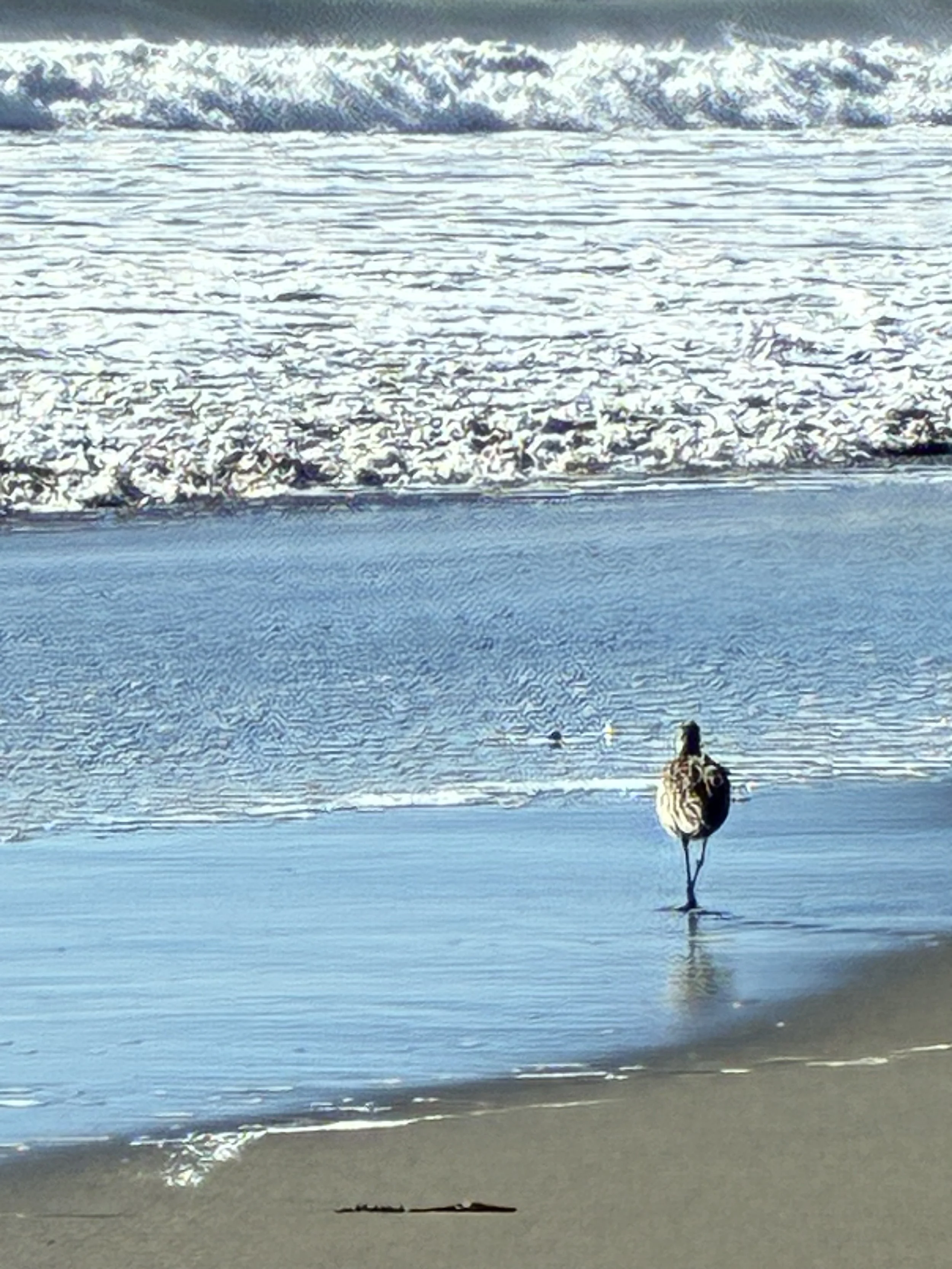 Happy Thanksgiving ‘25