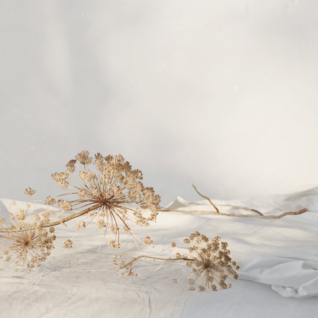 RYE SLEEP I