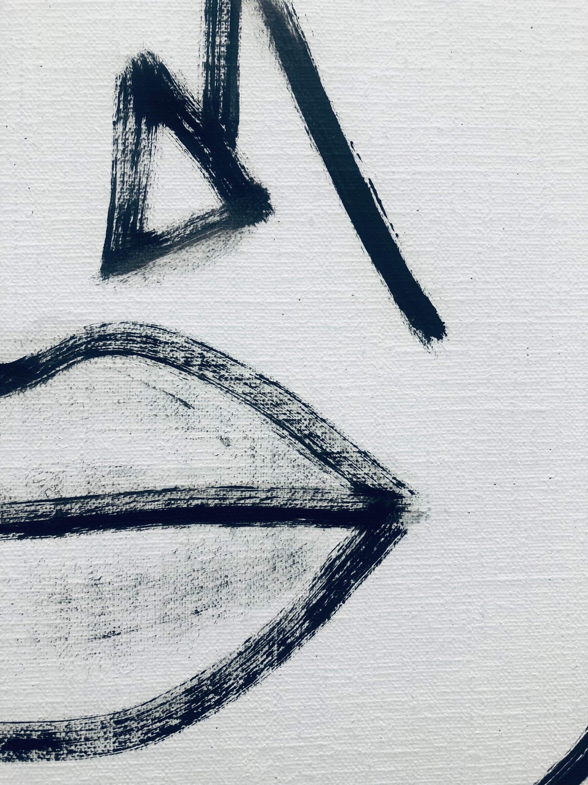 An afternoon with A black bird