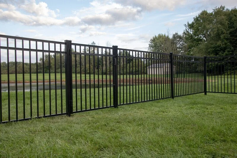 Black metal fence surrounding a grassy area near a pond with trees and a cloudy sky in the background.