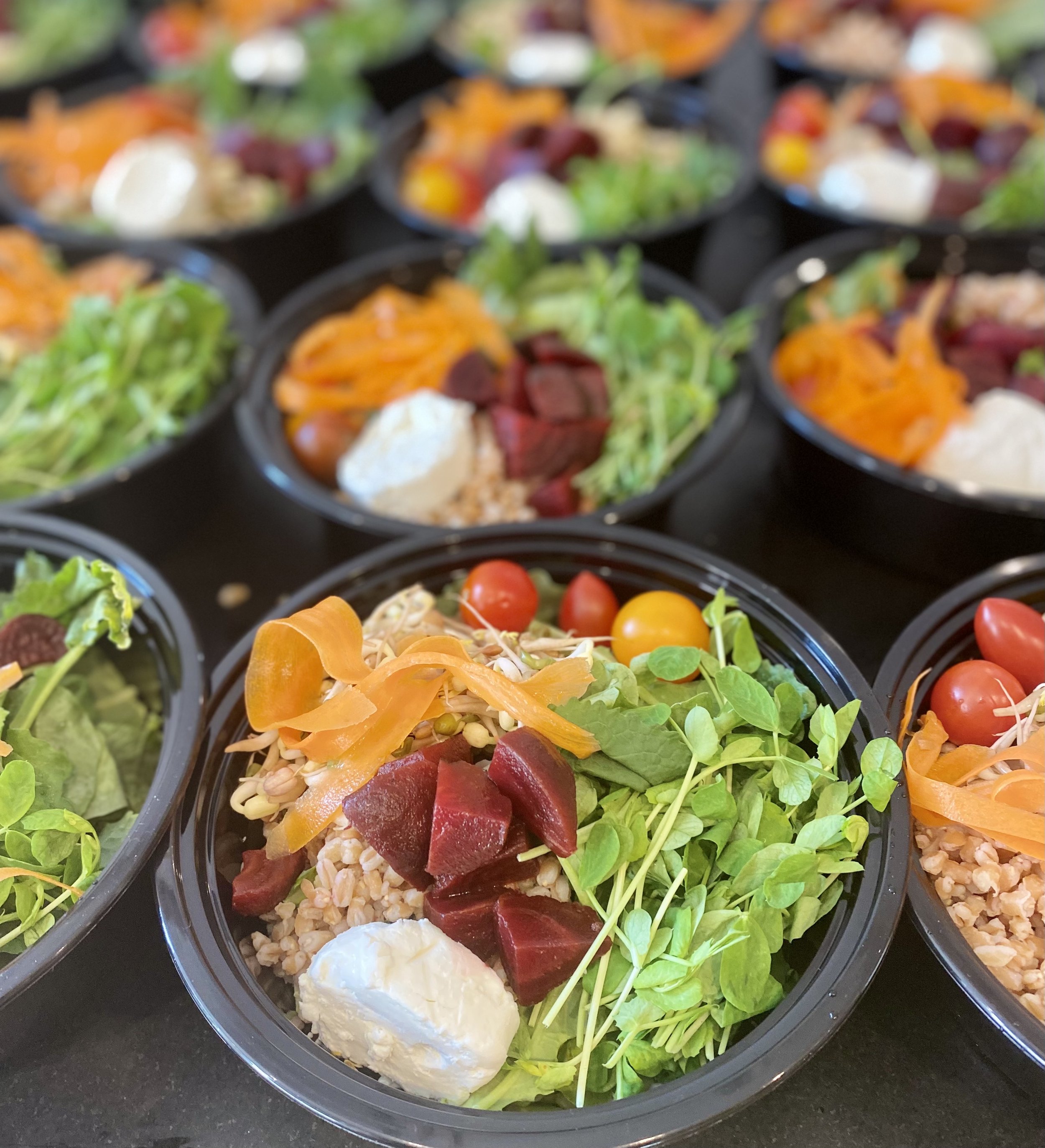 Gourmet Healthy-Eating Delight: Vegan Bowl by Eden Healthy Private Catering