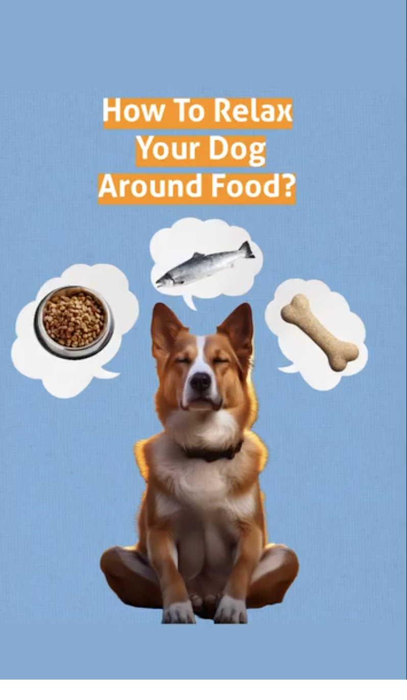 Screenshot 2026-01-28 at 5.41.25 PM.png