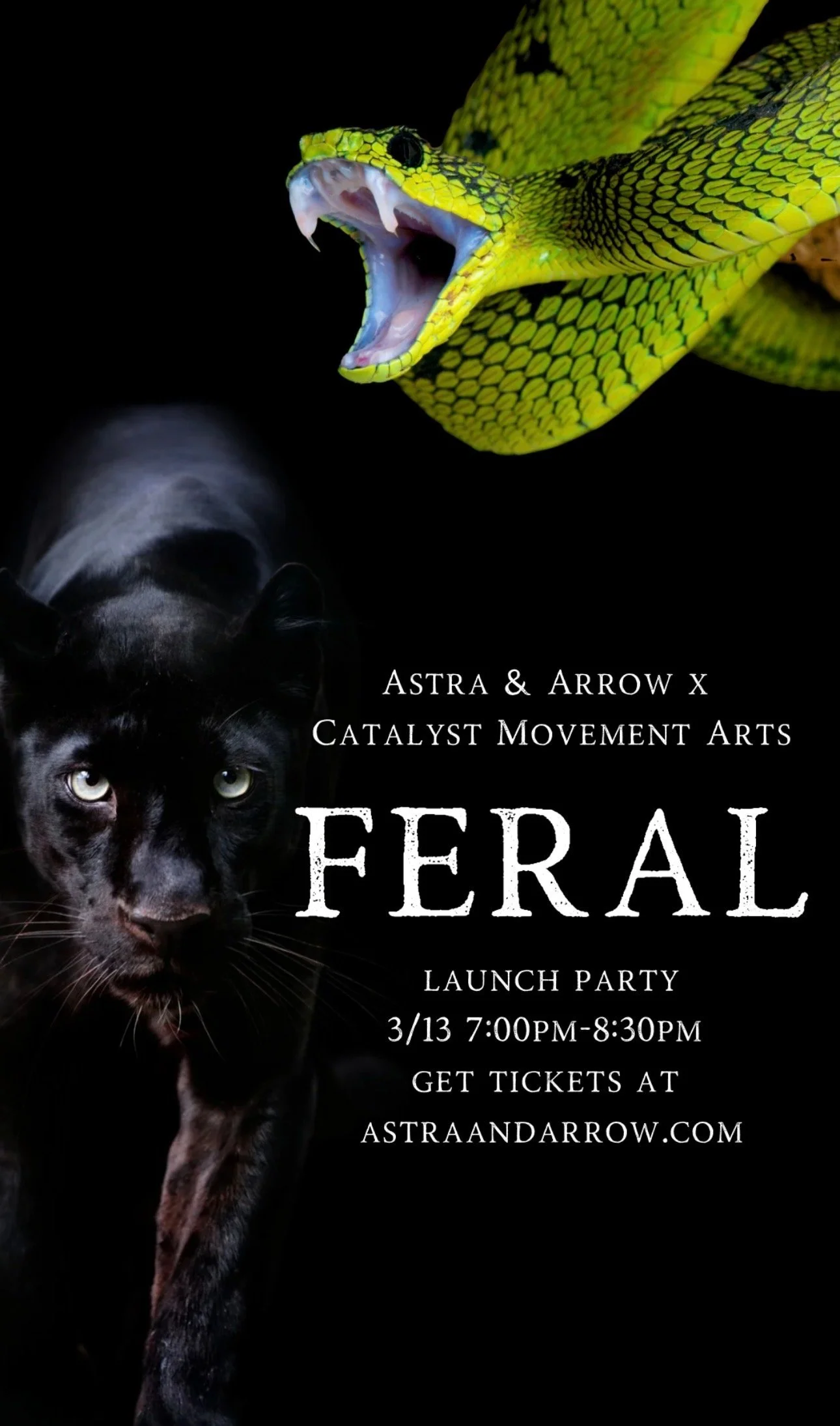 Feral: An Astra &amp; Arrow x Catalyst After Dark Collaboration