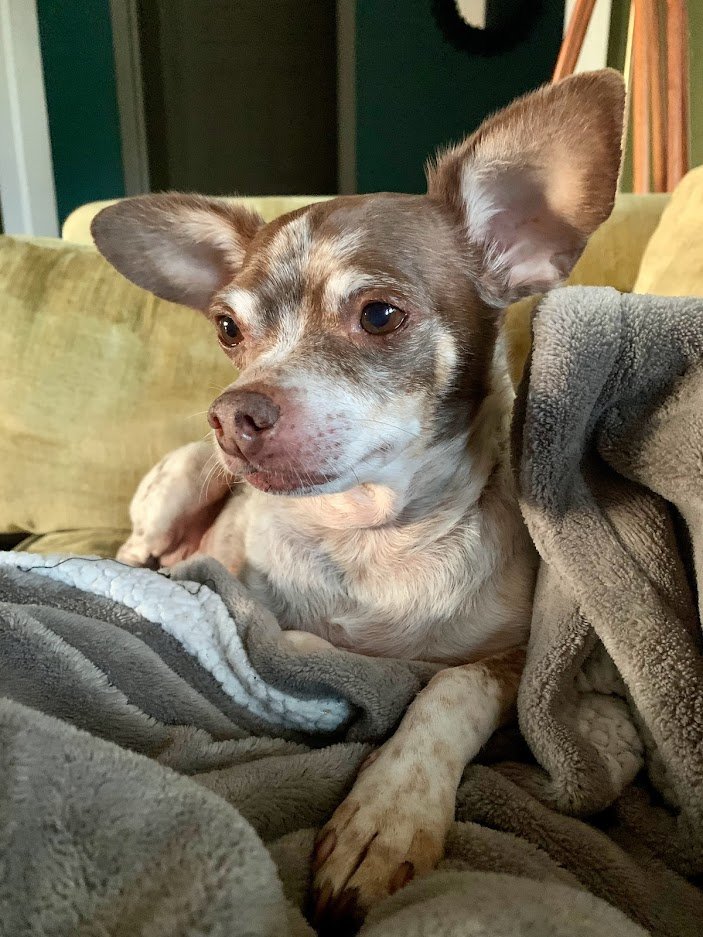 Mental Health Muscles