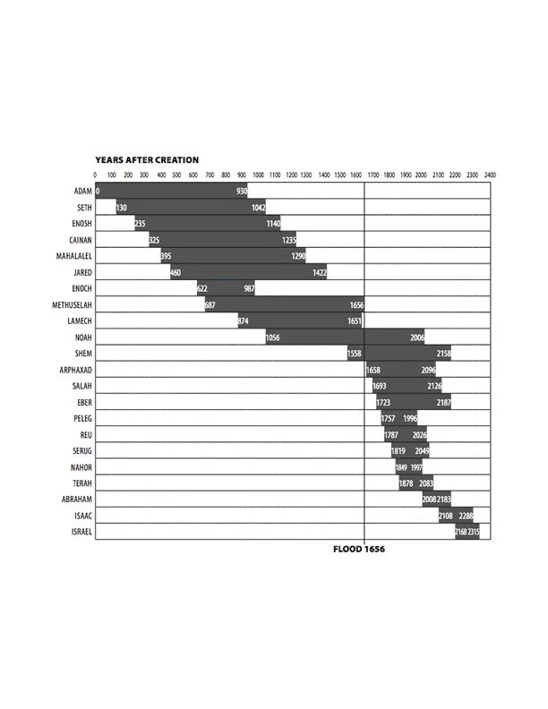 Episode - 002: People & Timeline After Creation