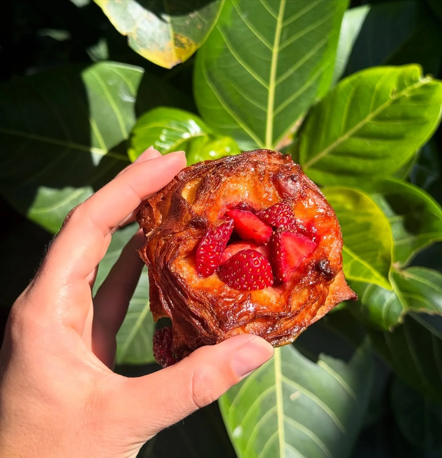Strawberry sourdough Kouign Amann 🍓 our spring flavour &hearts;️ available Saturdays only!