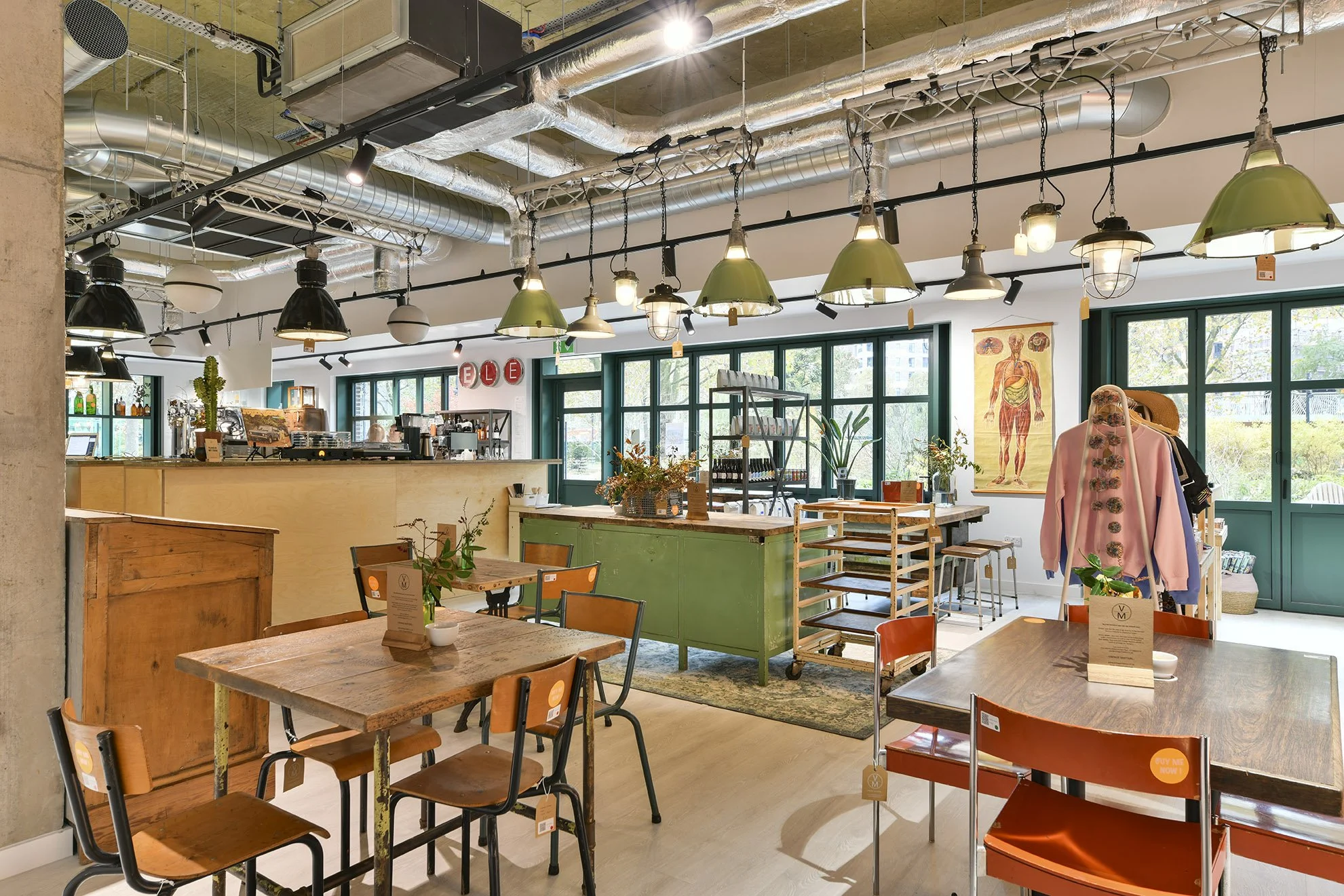 Elephant Stores 19.jpg