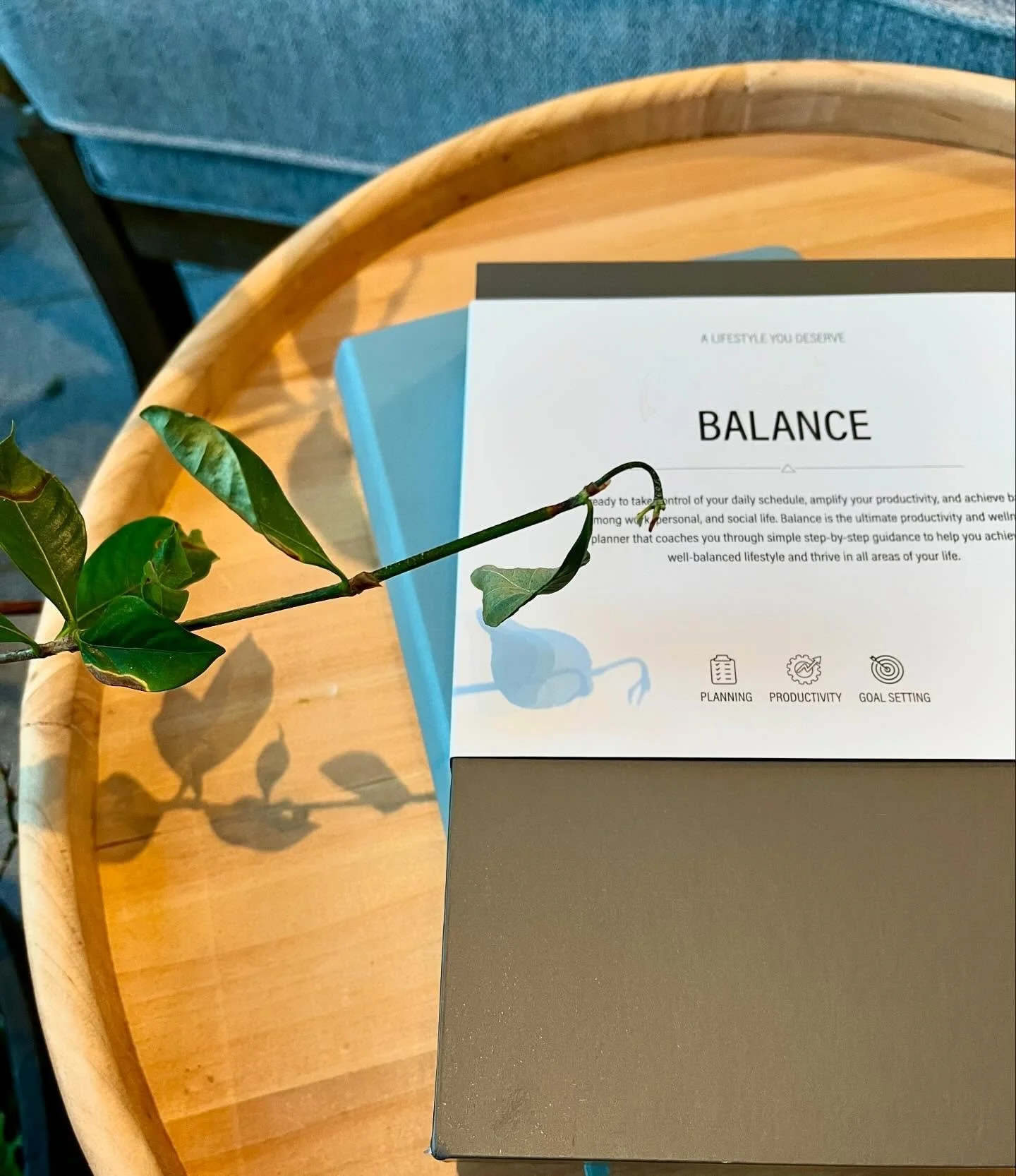 &ldquo;You are where you are because you didn&rsquo;t plan to be anywhere else.&rdquo; ~Reeta Wolfsohn

As we start a new year, what plans are you making to be where you want to be at the end of this year?

&mdash;&mdash;&mdash;&mdash;&mdash;&mdash;&