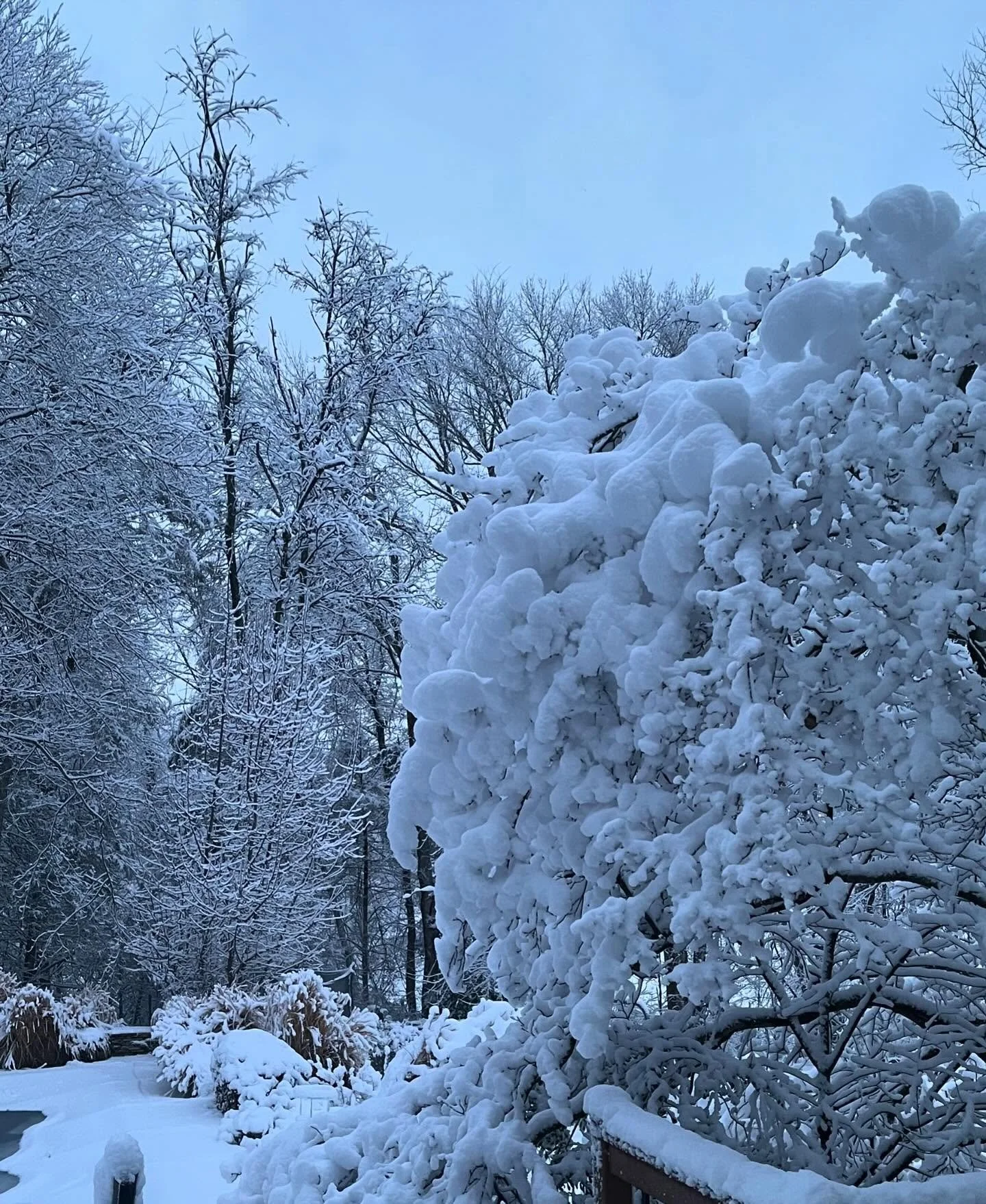 On days like today, we&rsquo;re grateful for telehealth! 

It allows us to keep our scheduled therapy appointments while also being safe and warm at home.

❄️If you have an in-person appointment today, please reach out to your therapist if you need t