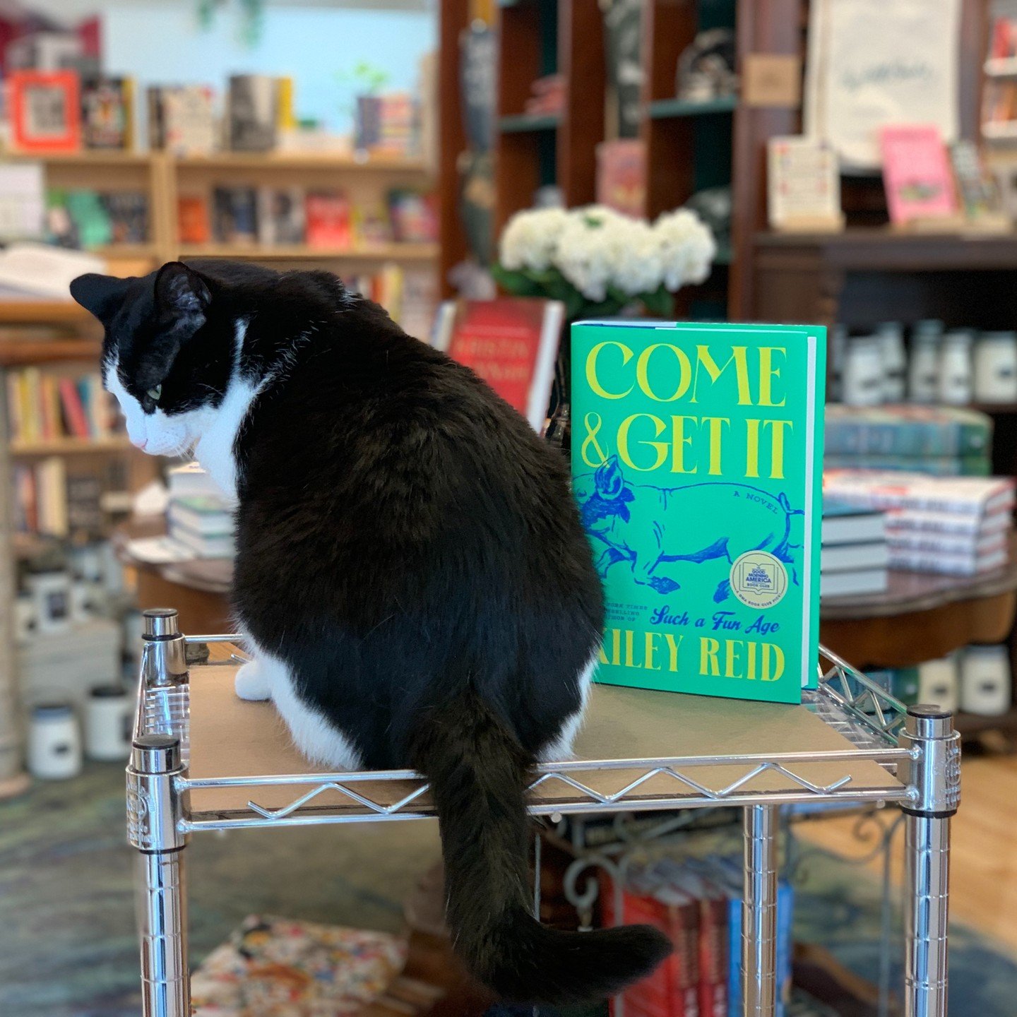 Getting ✨behind✨ on your reading goals for this year? Goose has the answer: a fresh and intimate portrait of desire, consumption and reckless abandon, &quot;Come and Get It&quot; is a tension-filled story about money, indiscretion, and bad behavior.
