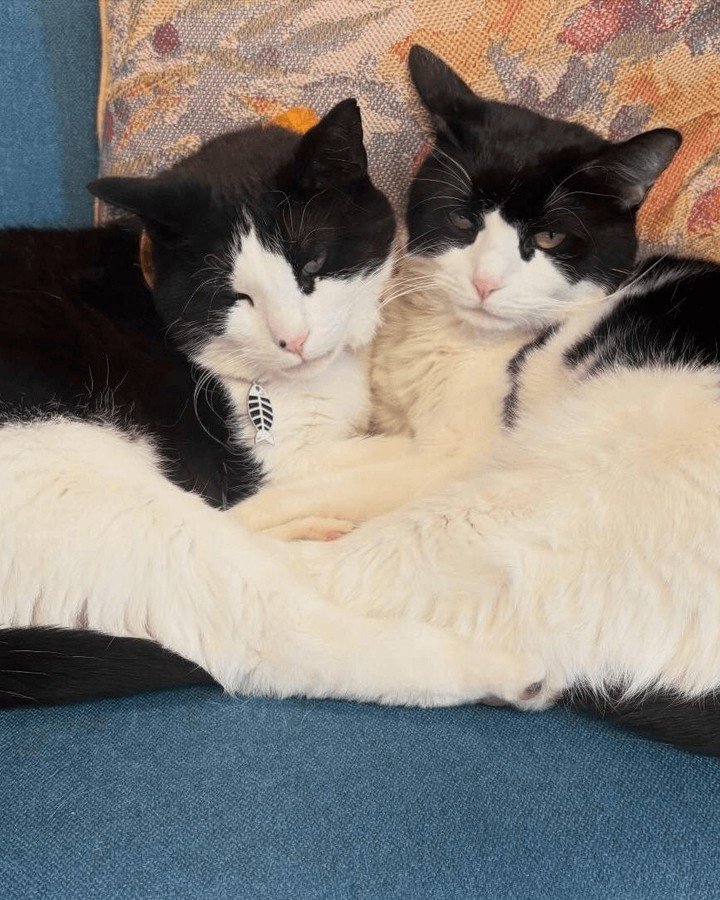 Thanks to all who came out to Authors for Minnesota Day this past weekend - with your help, we raised $1,530 for the Immigrant Law Center of Minnesota and the Women's Foundation of Minnesota! Special shoutout to Mindy Mejia and Dylann Crush, our two 