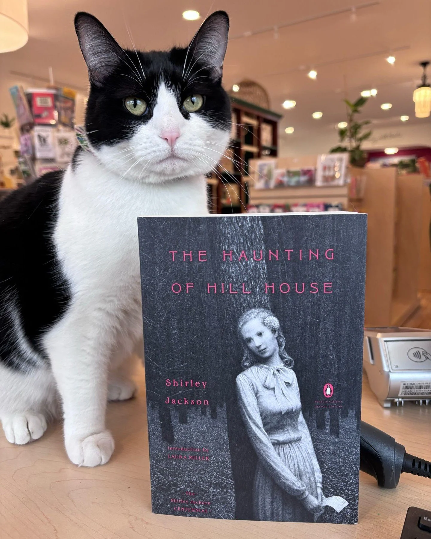 This month, The Grim Readers will discuss "The Haunting of Hill House" by Shirley Jackson, an absolute classic within the horror genre. The book club will meet 7 - 8 pm on Friday, March 27. Come for the spooky vibes, stay for the excellent 