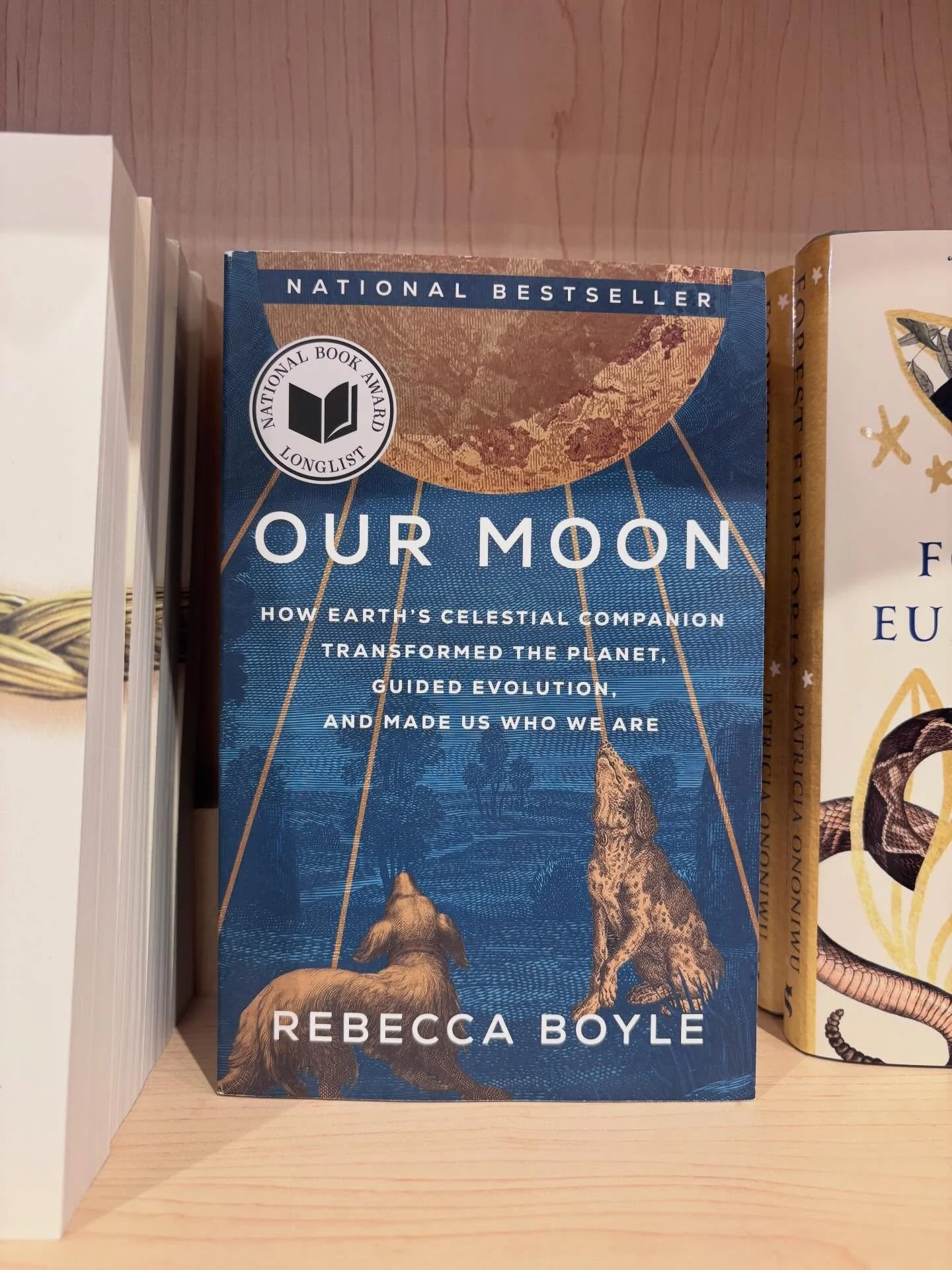 Our staff has certainly been feeling a lot of moon joy inspired by the journey of the Artemis II crew. Here are some of our favorite moon and space-related titles 🌔

#BigHillBooks #MoonJoy #ArtemisII #SpaceBooks #moonbooks