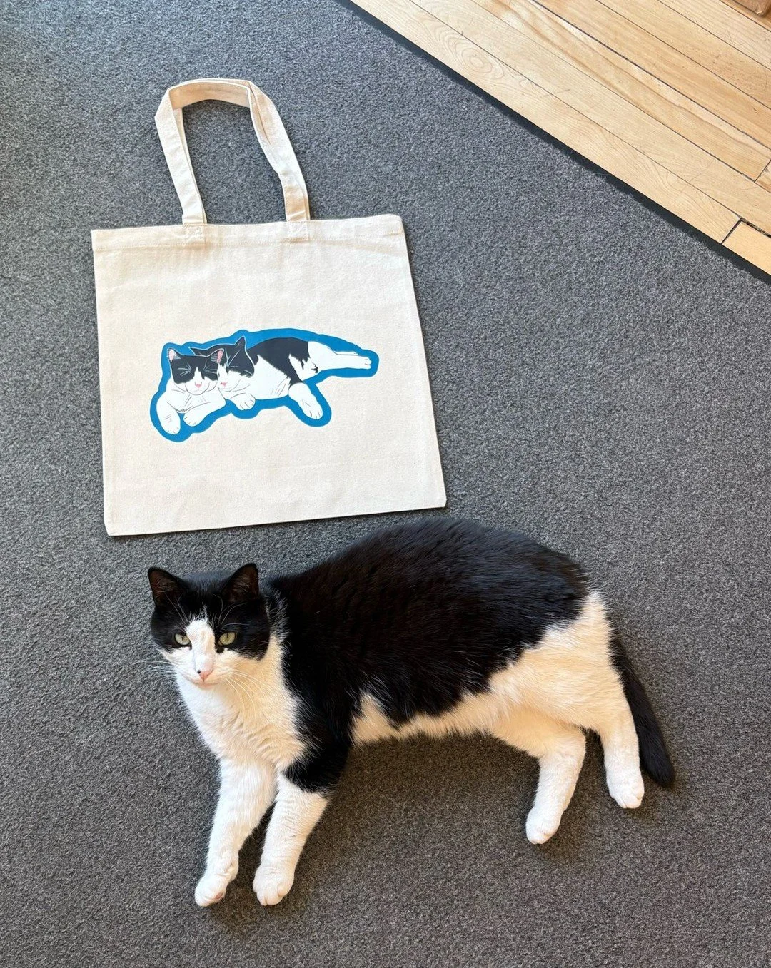 After many requests for tuxedo cat merch, we have totes! They&rsquo;re available for purchase in shop. 

(We tried to get Goose to pose in the tote. Didn&rsquo;t go great. No tuxedo cats were harmed in the making of this post.)

#BookstoreCats #Goose