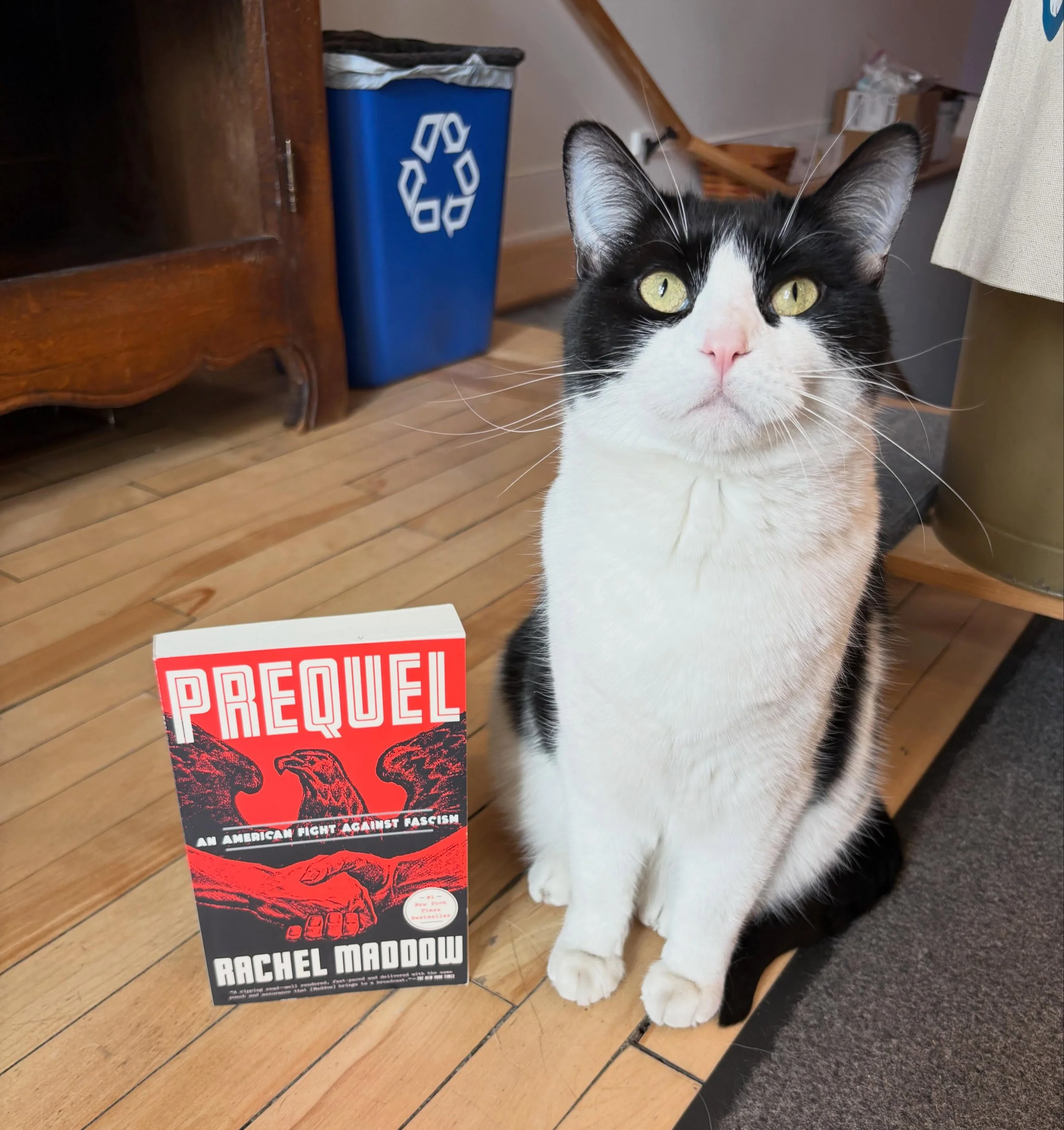 Adso hopes you&rsquo;ll join us tomorrow from 6:30 - 8 pm for BHB Book Club! Our June pick is Rachel Maddow&rsquo;s Prequel, an incredible accounting of 1930s American cultural and political history that we never learned about in the classroom. How t