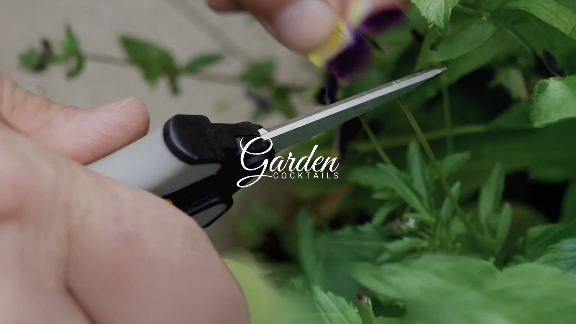 559 Garden Cocktails