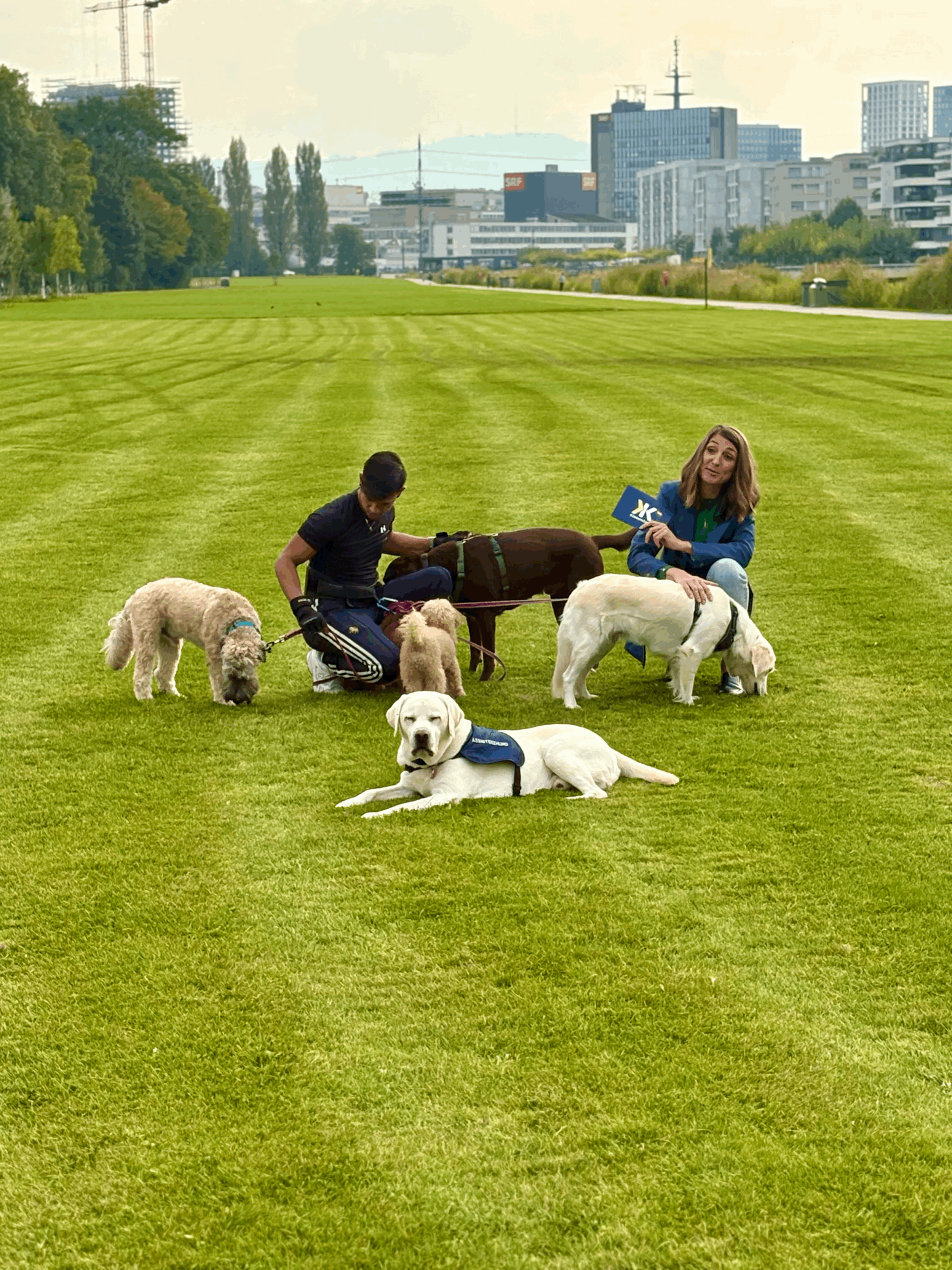 Filmreif bei Hundebetreuung Züripets® - SRF Kassensturz drehte im Glattpark Zürich