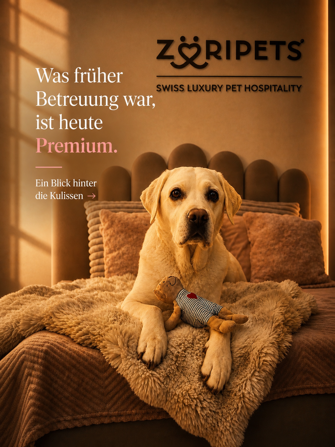 Luxus für Hunde boomt - was der 20 Minuten-Artikel über einen echten Wandel verrät