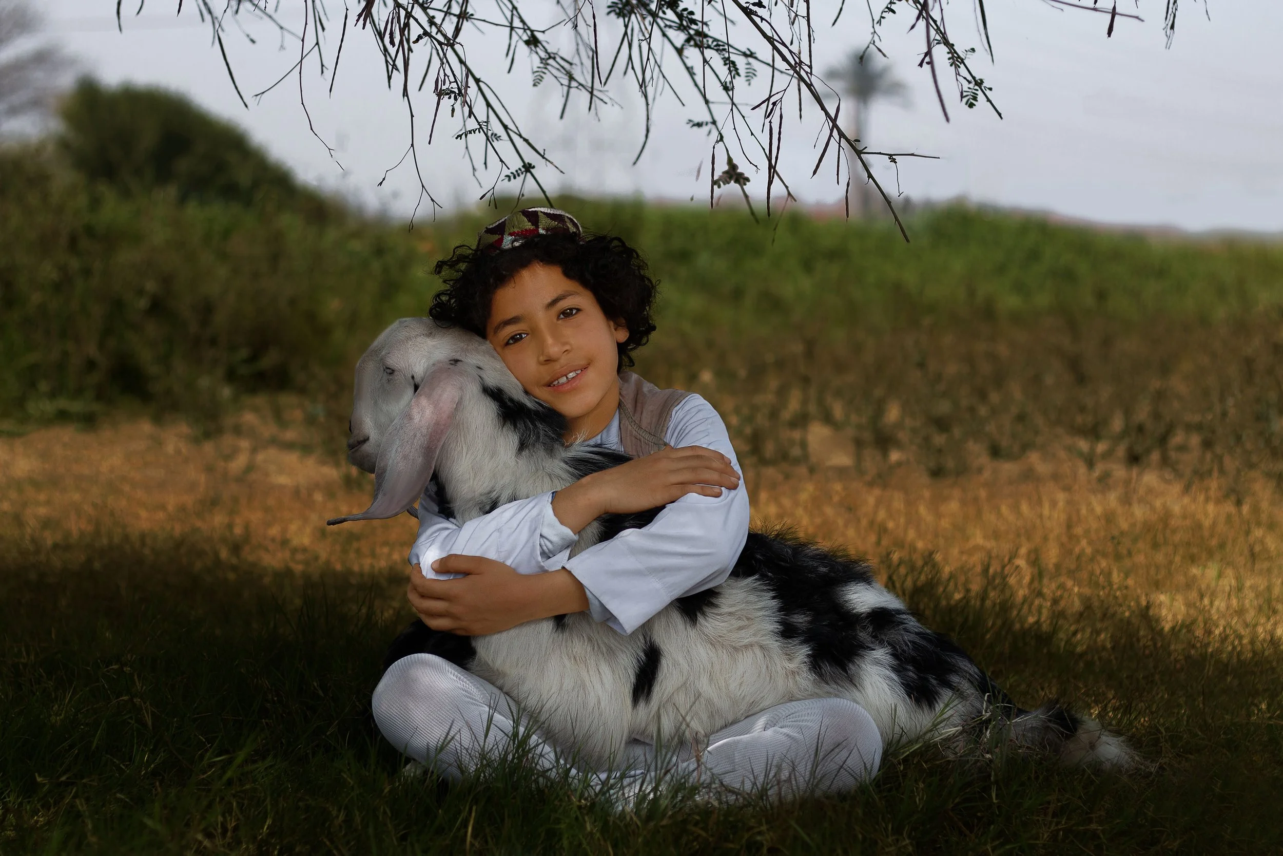 Is Doing Qurbani Compulsory? Revisiting the Spirit of Eid al Adha Qurbani