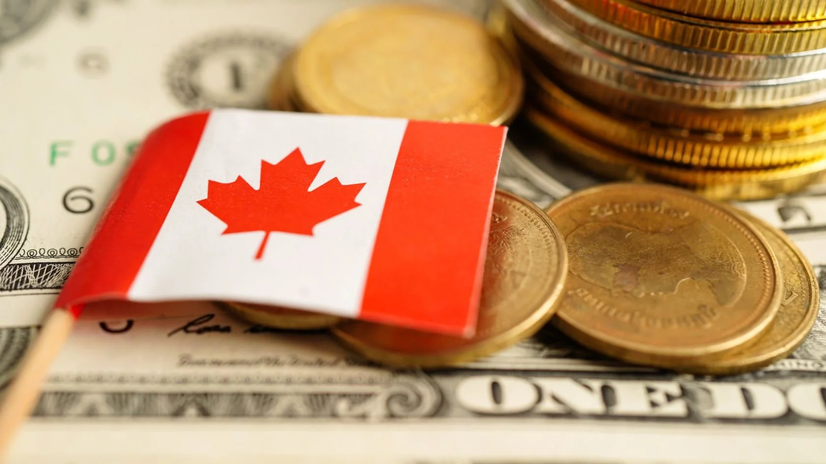 The Business Owner Moving Money Between Countries