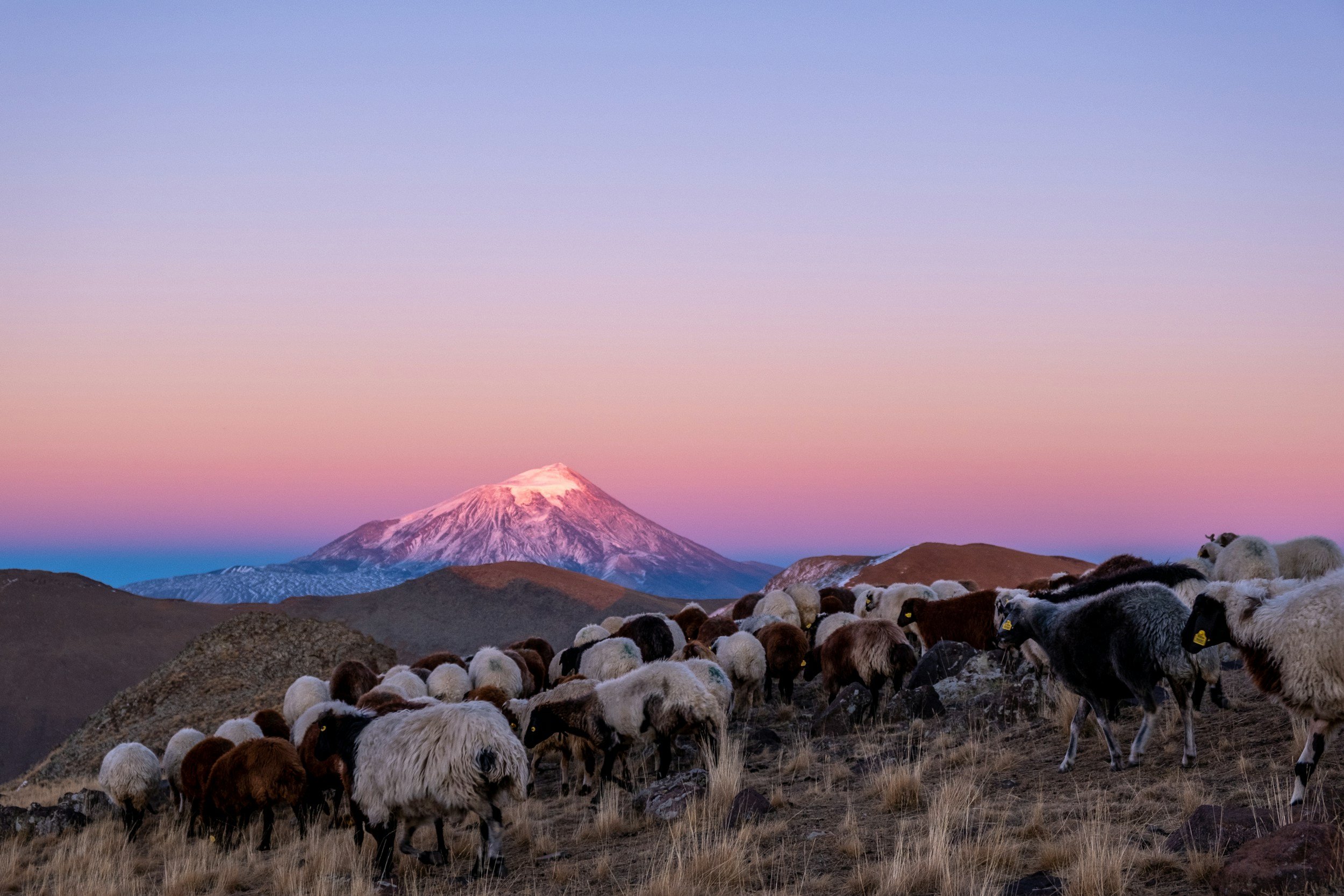 Mt. Ararat Trek
