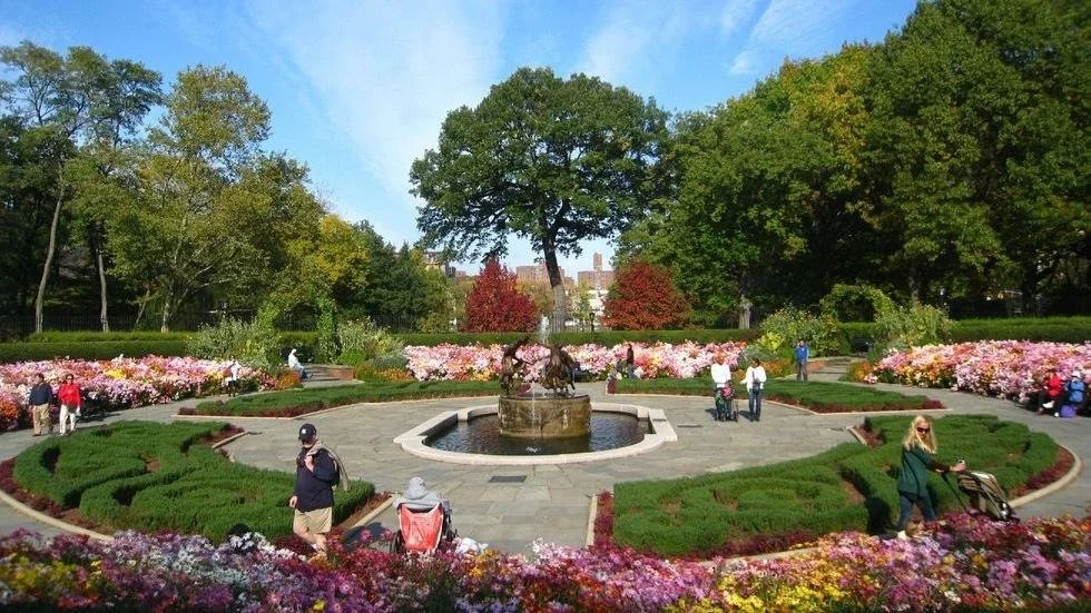 Central Park—What’s Up North?