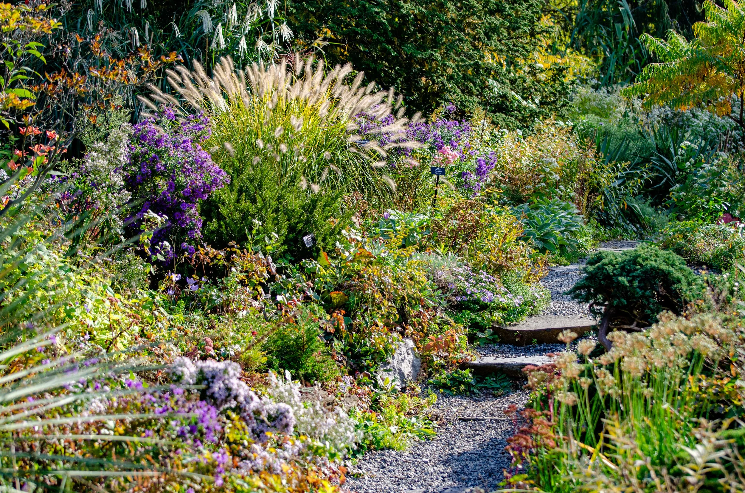 Discover Wave Hill, a NYC Garden Treasure: Dig into the Wild Garden