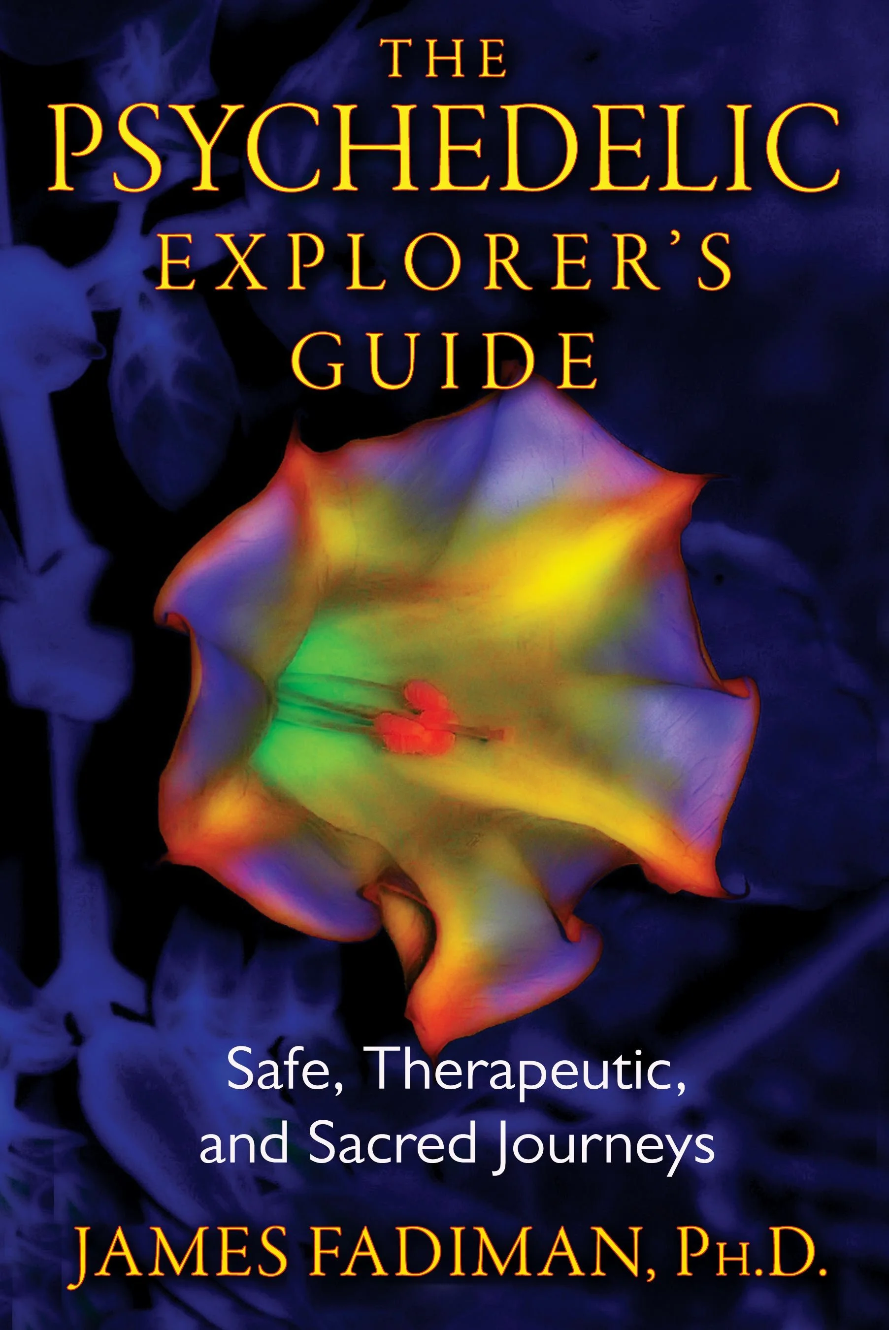 The Psychedelic Explorer's Guide: Safe, Therapeutic, and Sacred Journeys (Paperback)