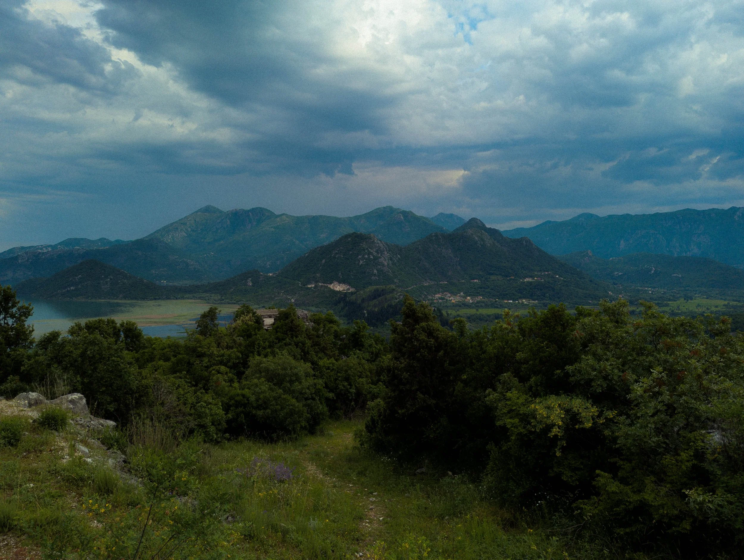 test-153634096.jpg