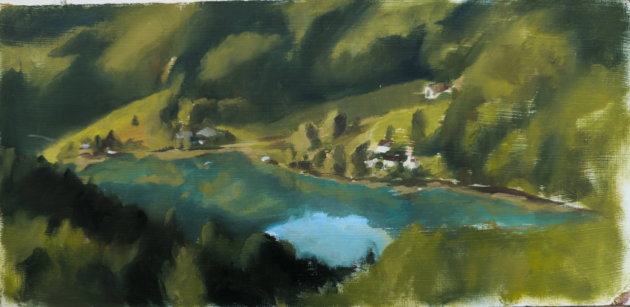 Muhleberg, Switzerland. 12x6" Oil on MDF Panel
Available