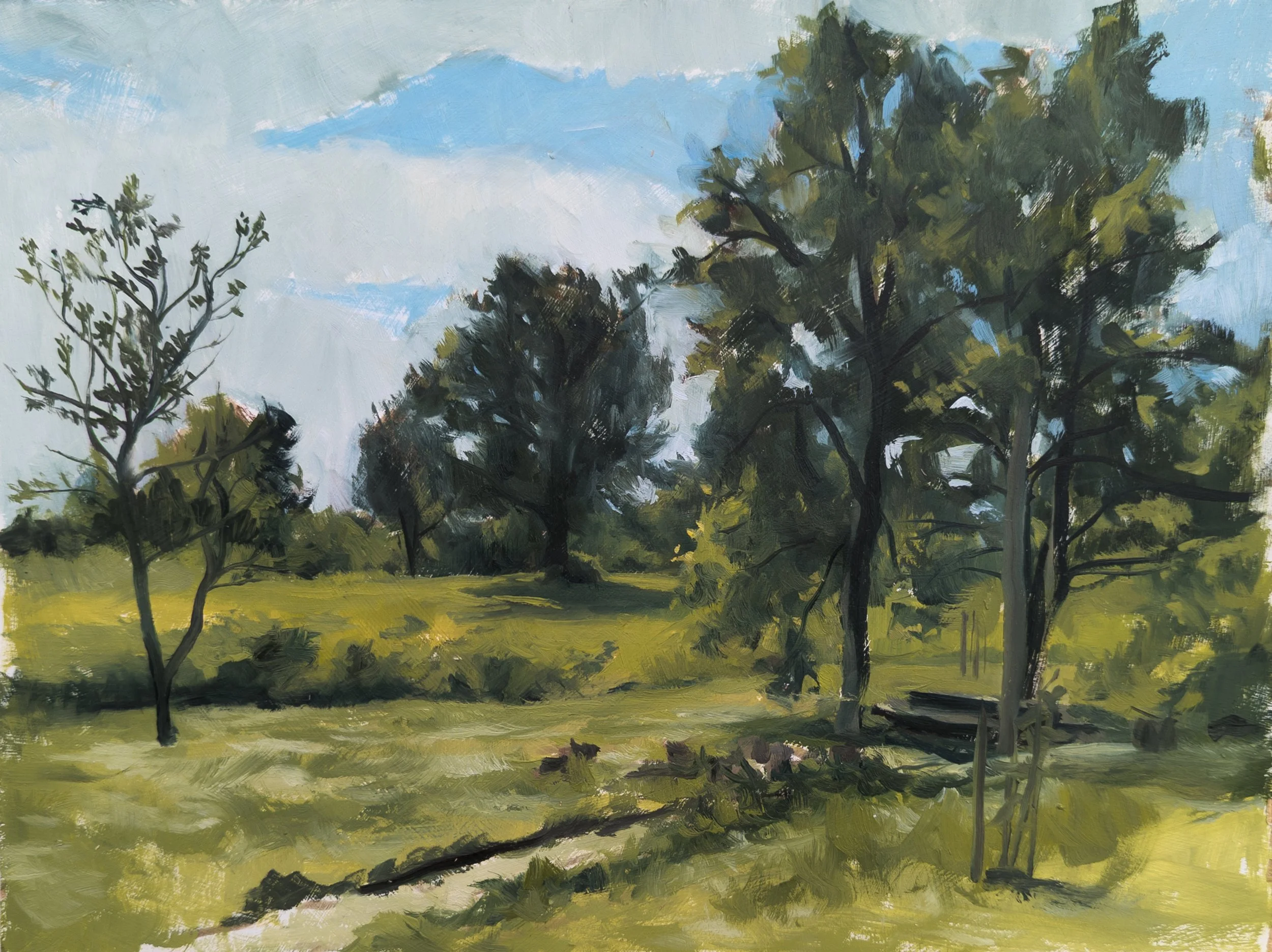 Plitvica, Croatia. 9x12" oil on MDF. Available