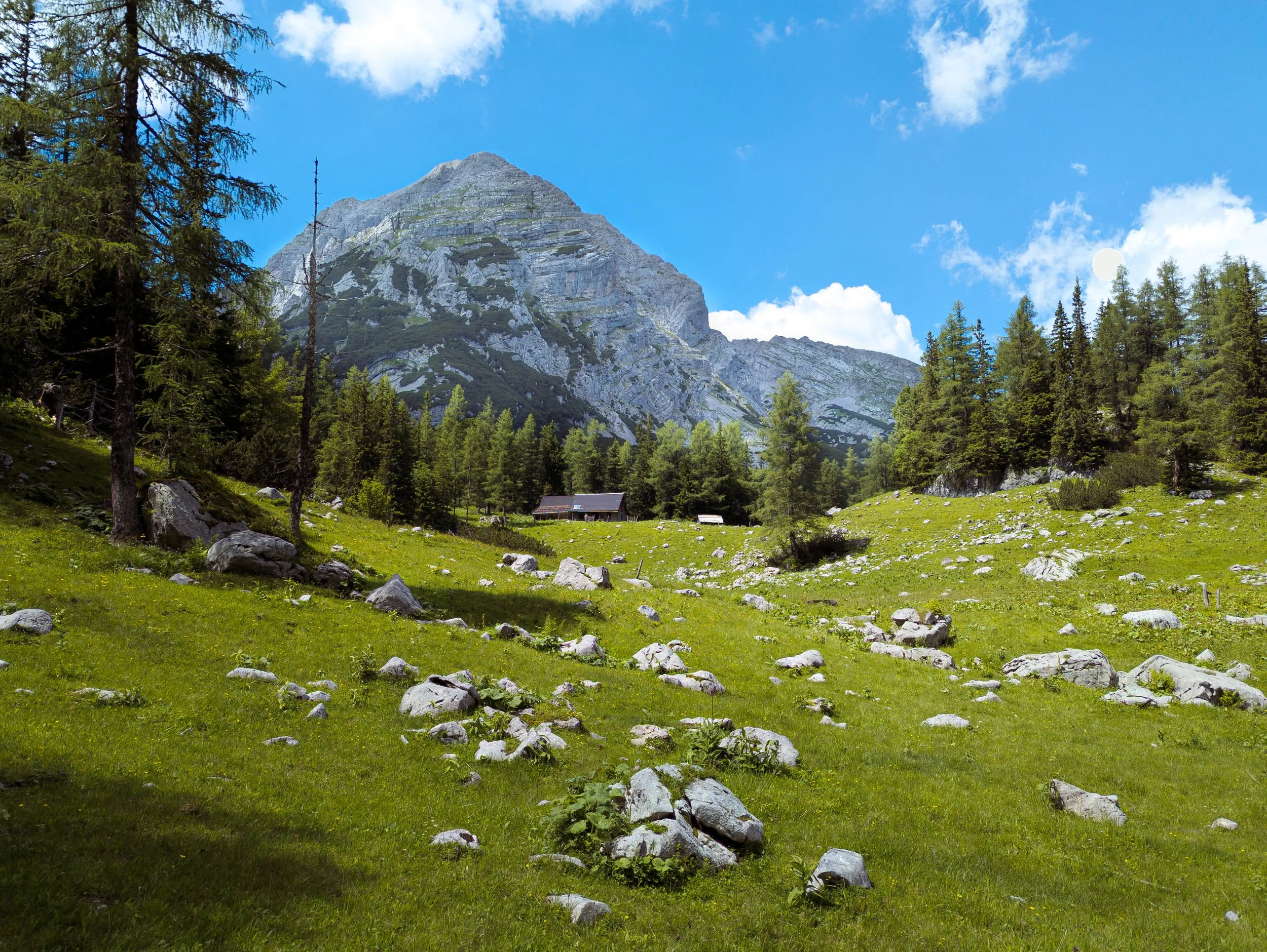 test1-120622414.jpg