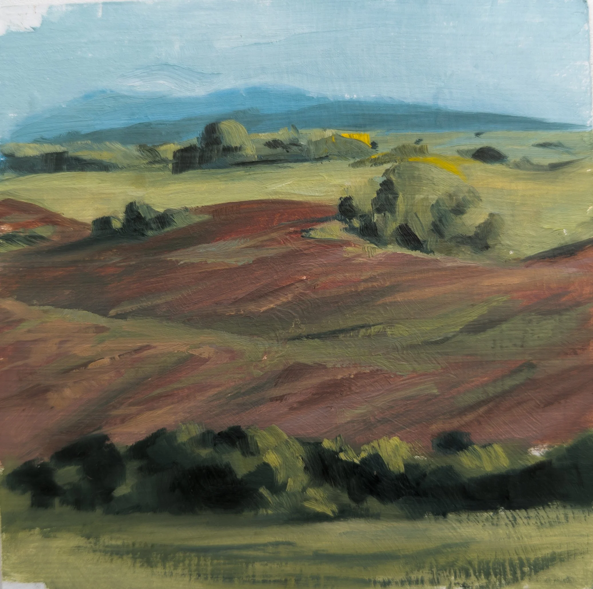 Plitvica, Croatia. 4.75x4.75" oil on offcut. Available