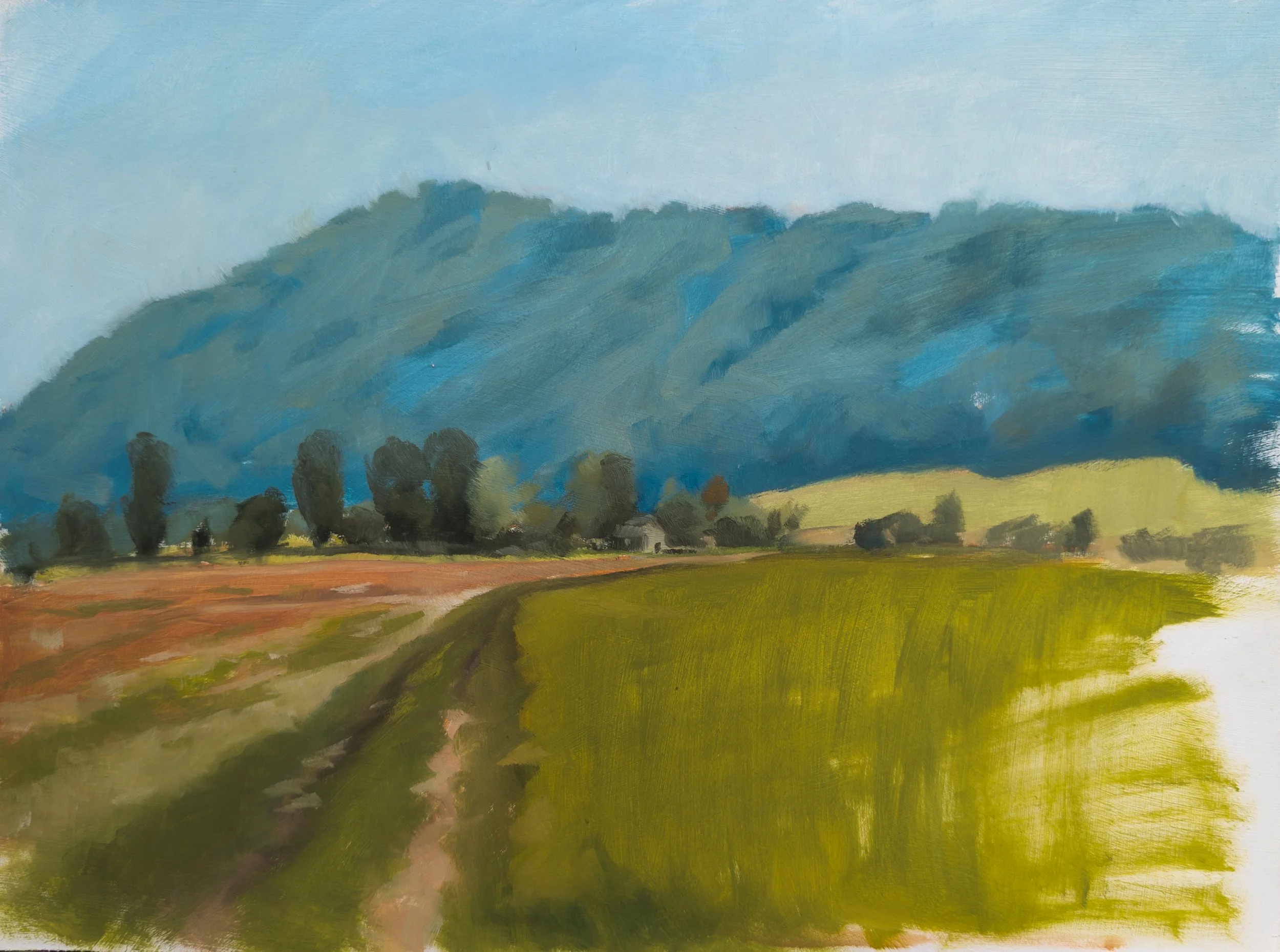 Neuchatel, Switzerland. 9x12" Oil on MDF Panel
Available