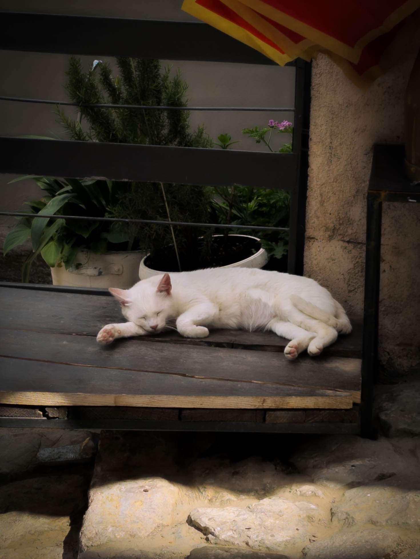test-080808175.jpg