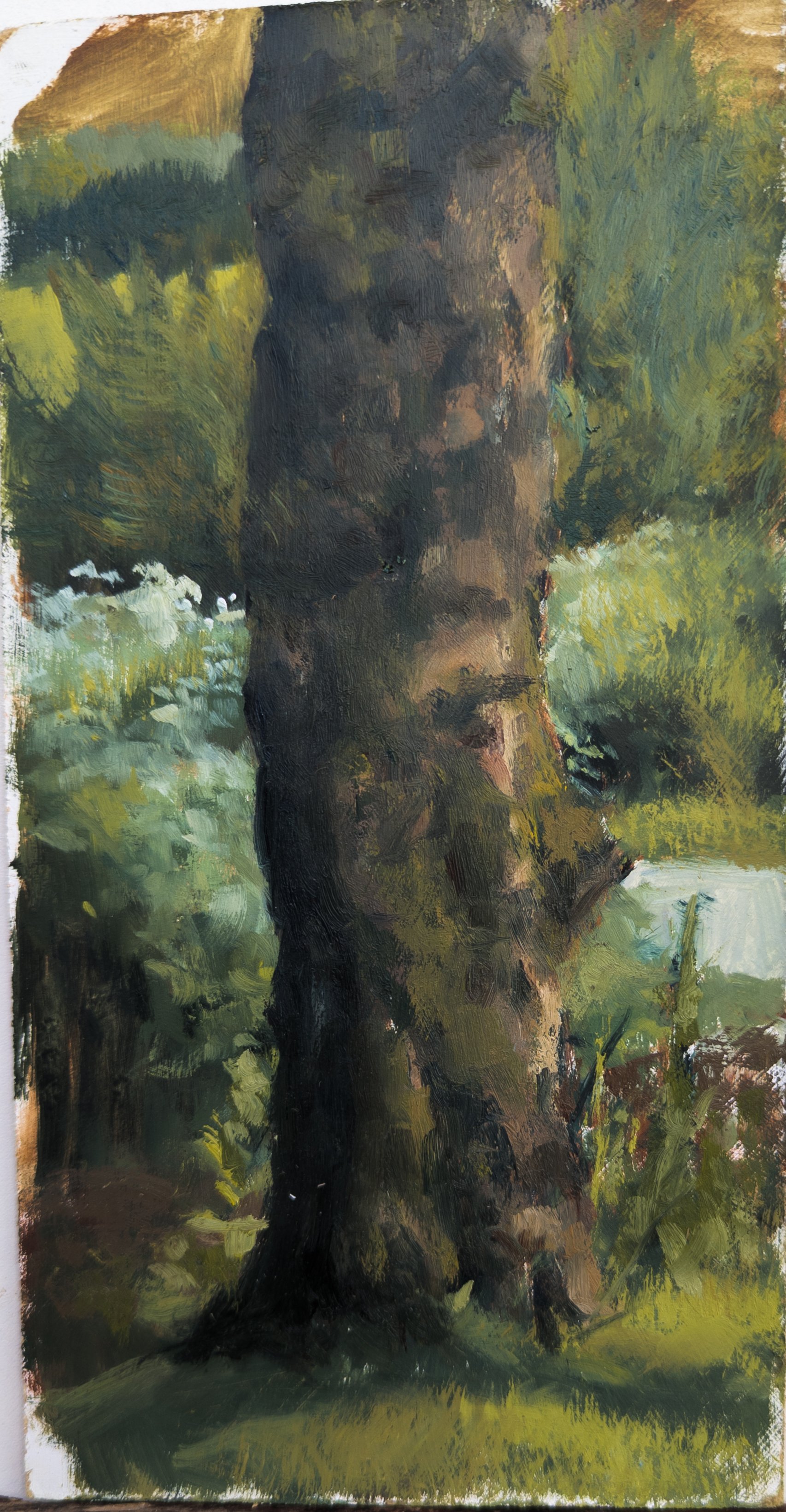 Plitvica, Croatia. 4.75x9" oil on hardboard. Available