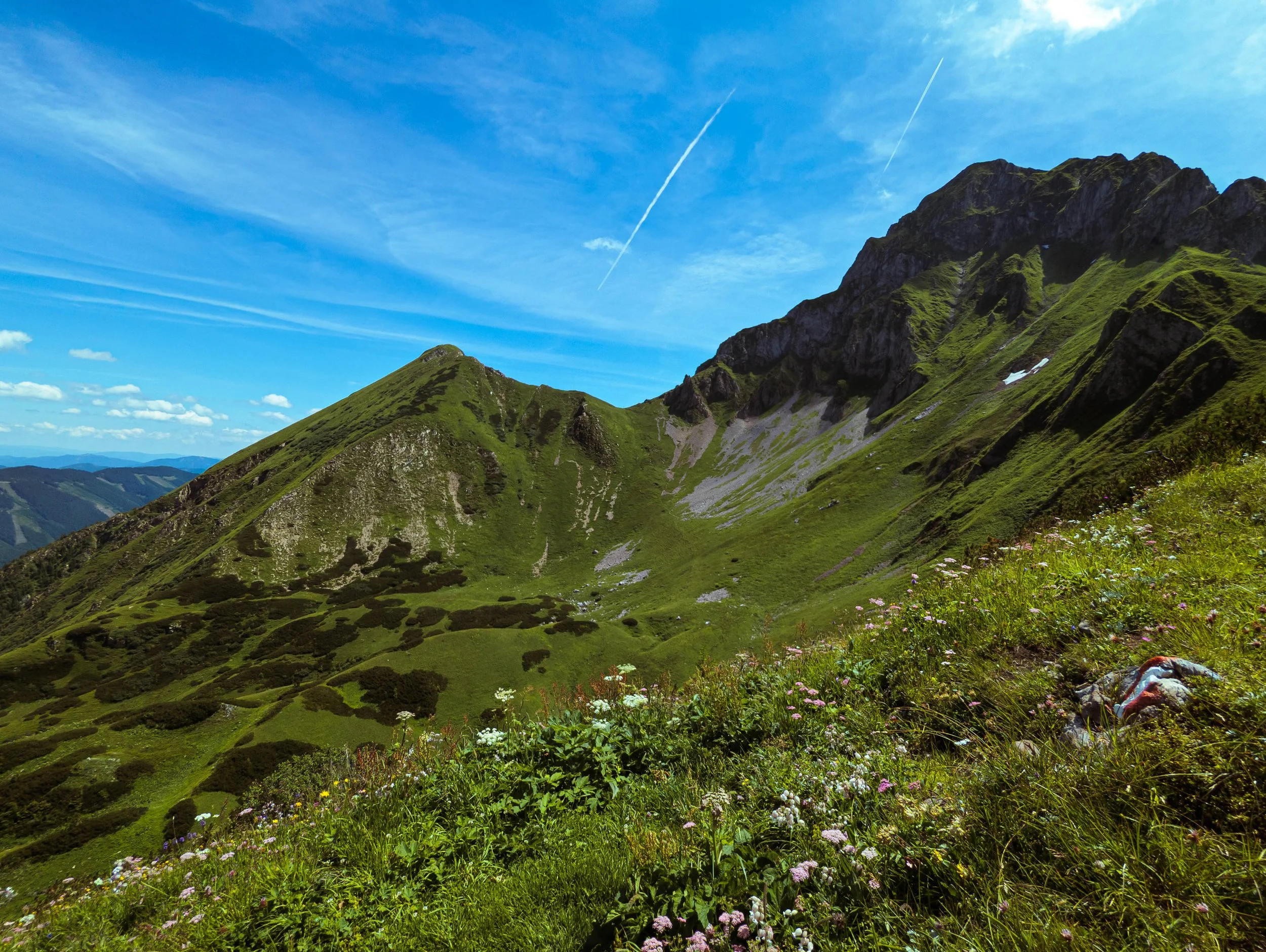 test-114245478.jpg