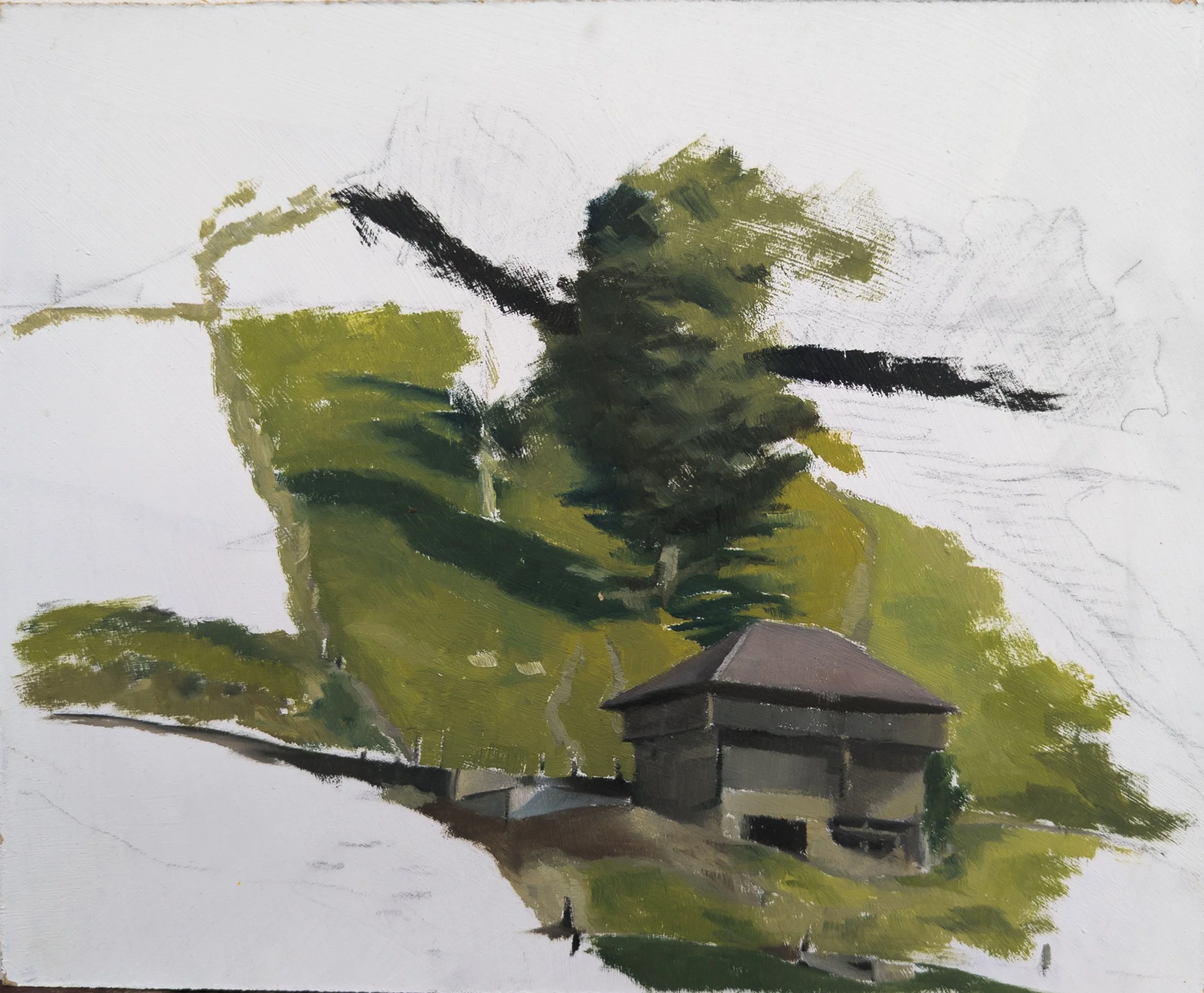 Trubscachen, Switzerland. 9x7.25" Oil on MDF Panel
Available